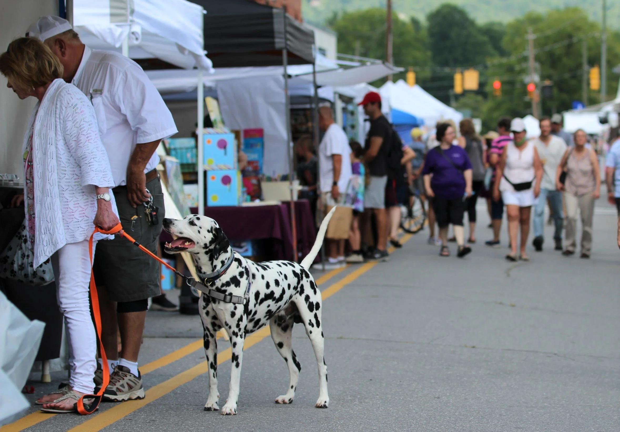 Sourwood Festival set for 44th year