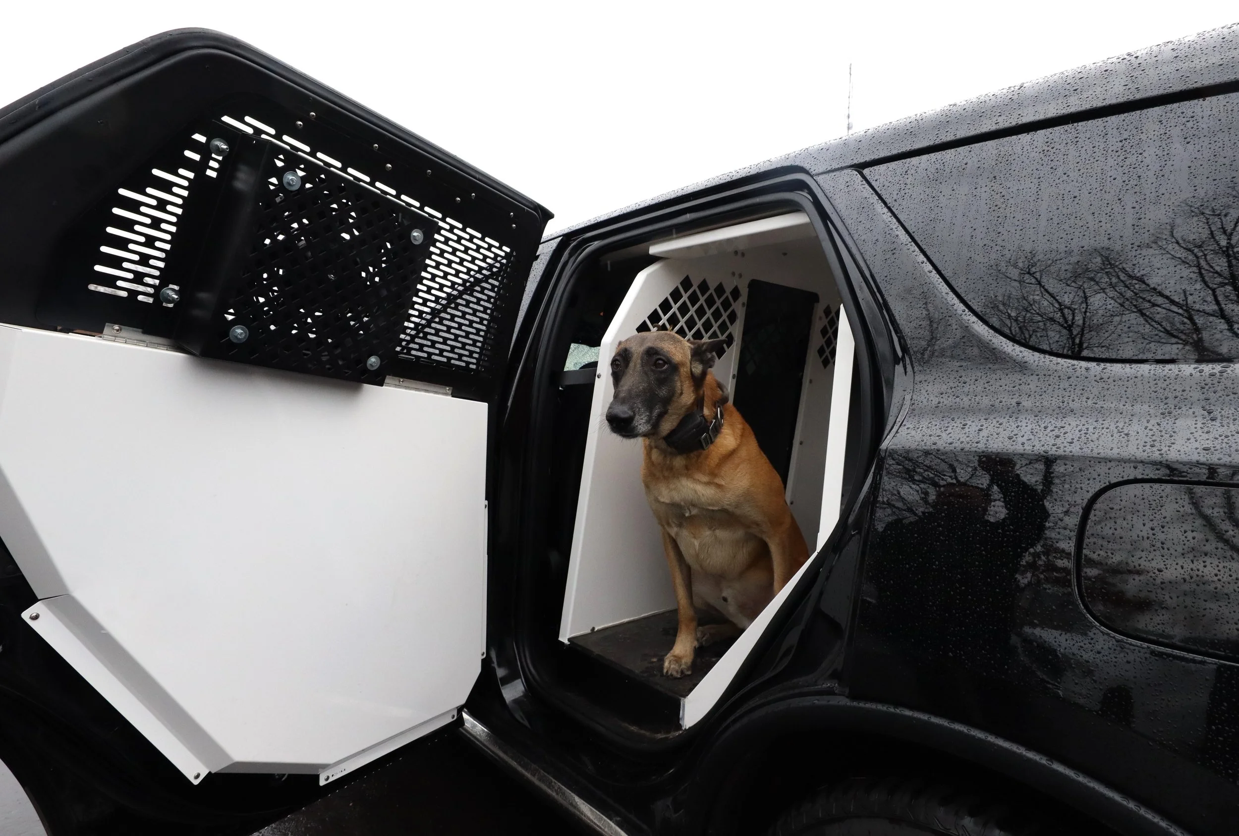 A new cage for K-9 Officer Cayman