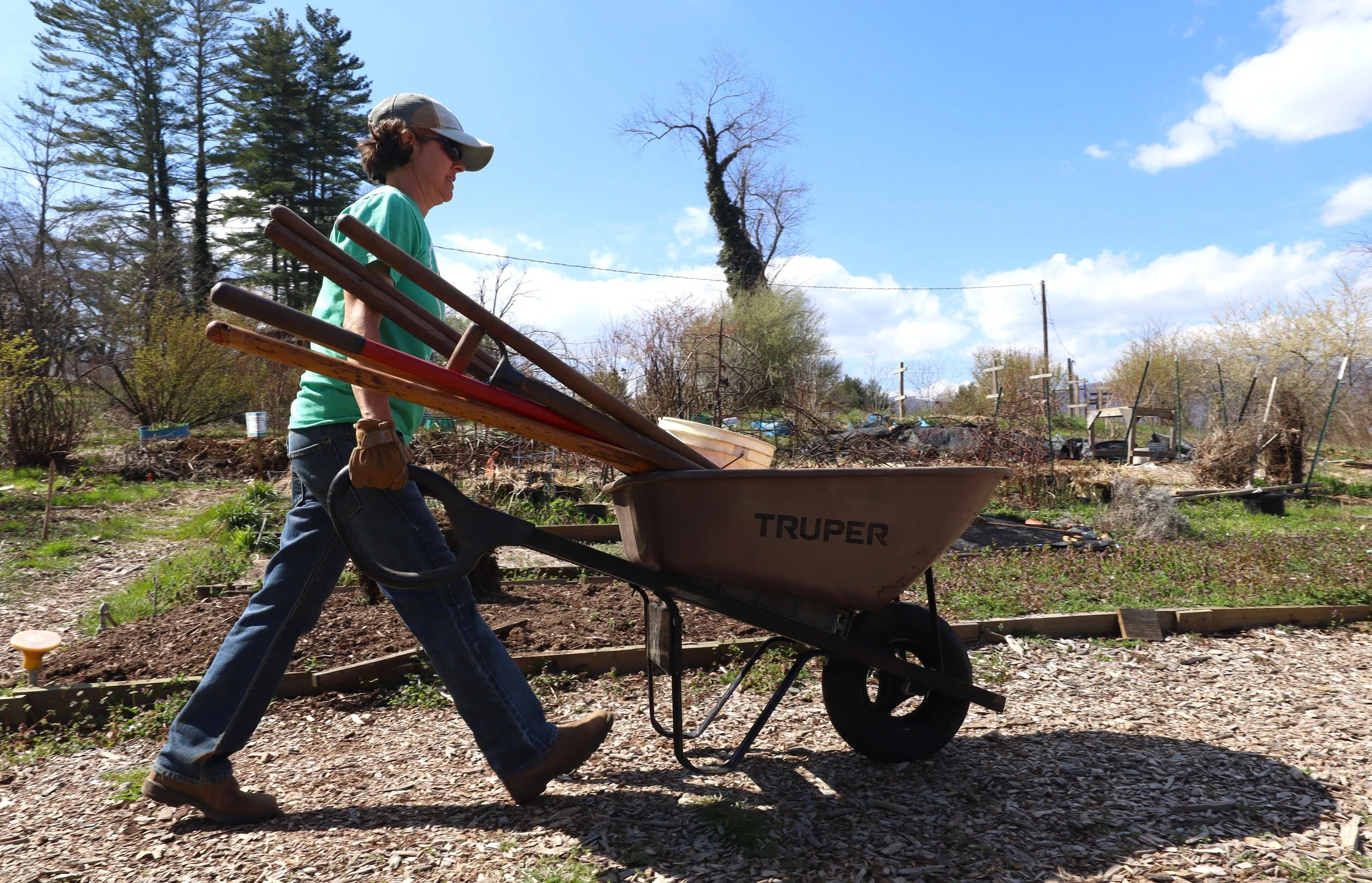 Bounty &amp; Soul sows support for farmers, reaps food for the masses 