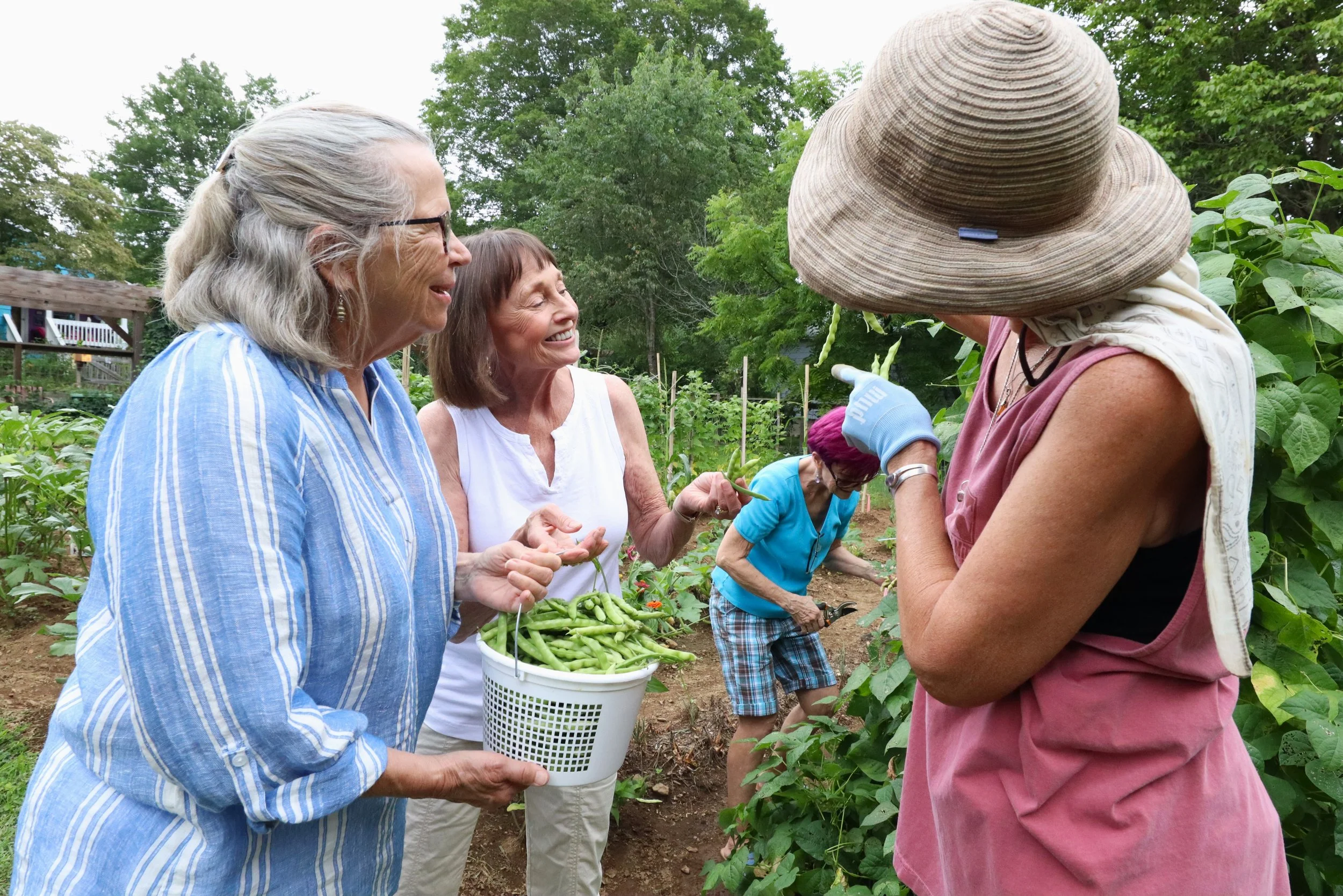 Dr. Julia Capps Garden harvests heartfelt bounty