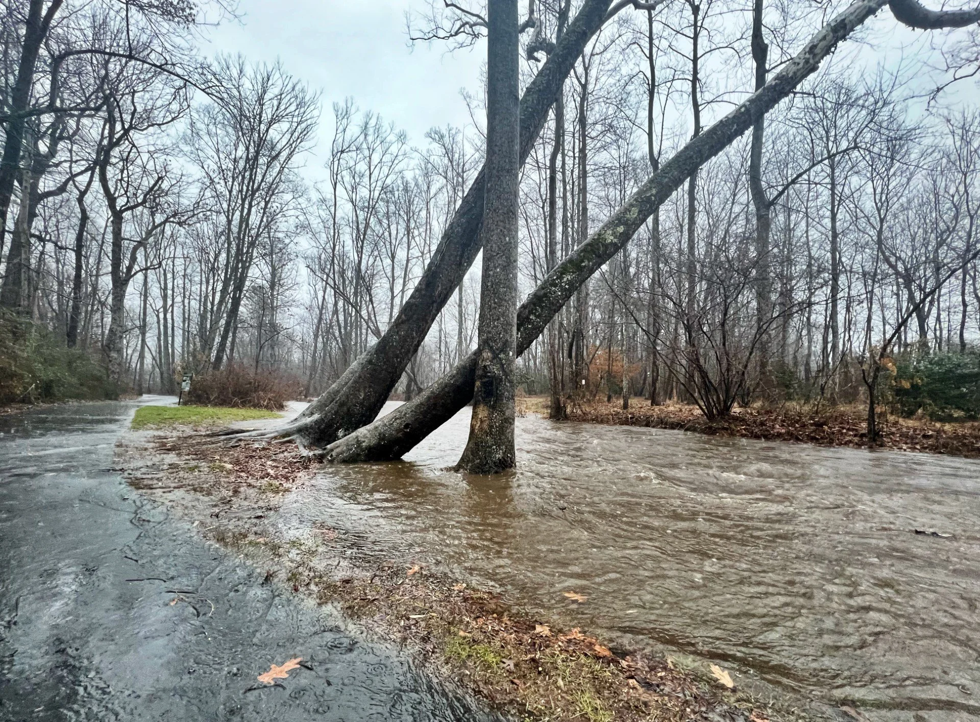 Flash flood warning issued for Swannanoa Valley
