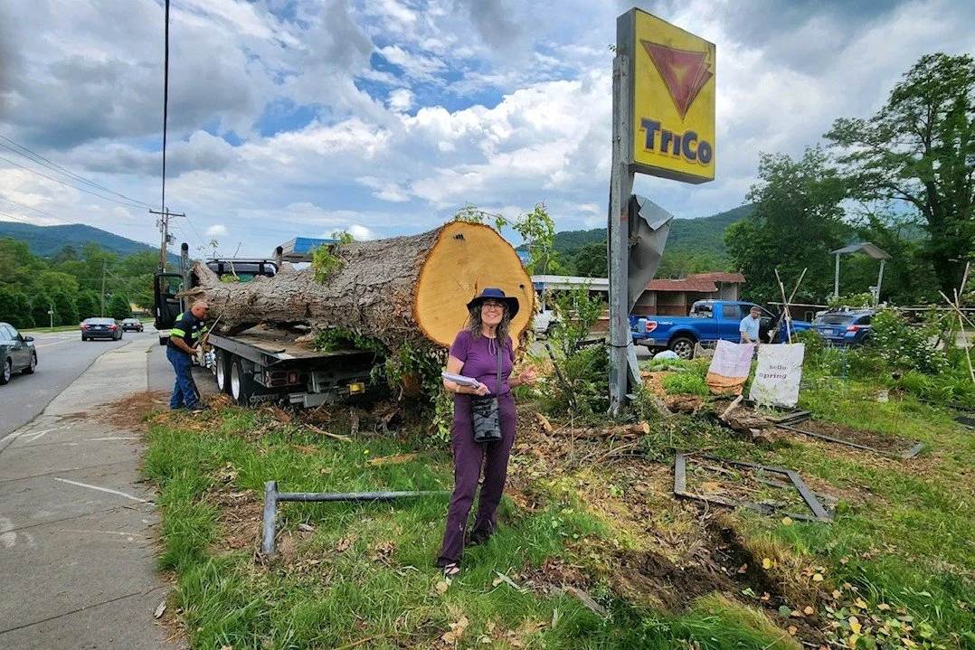 Community preserves legacy of a ‘Treasured Tree’