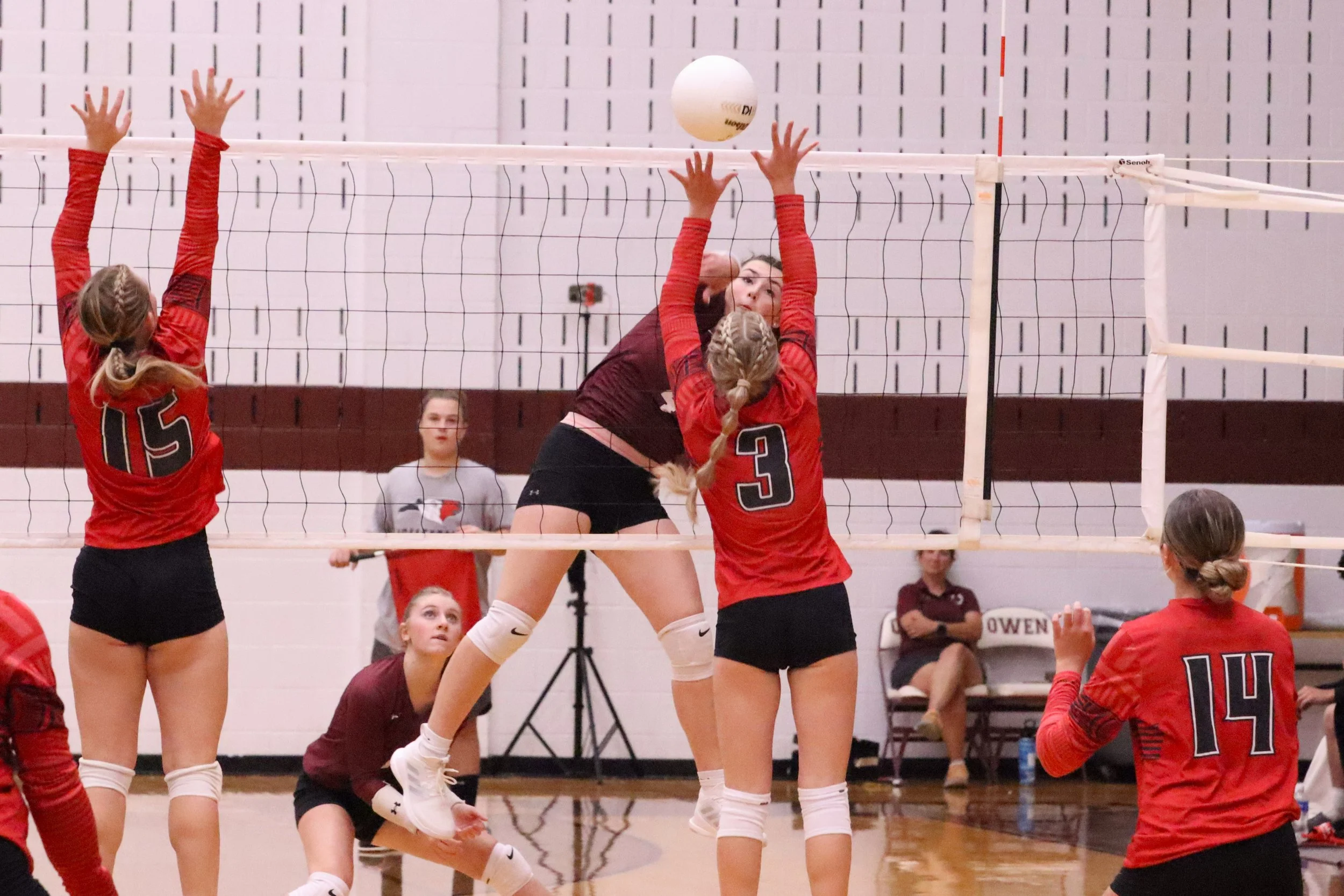 Warlassies set to serve up another strong campaign