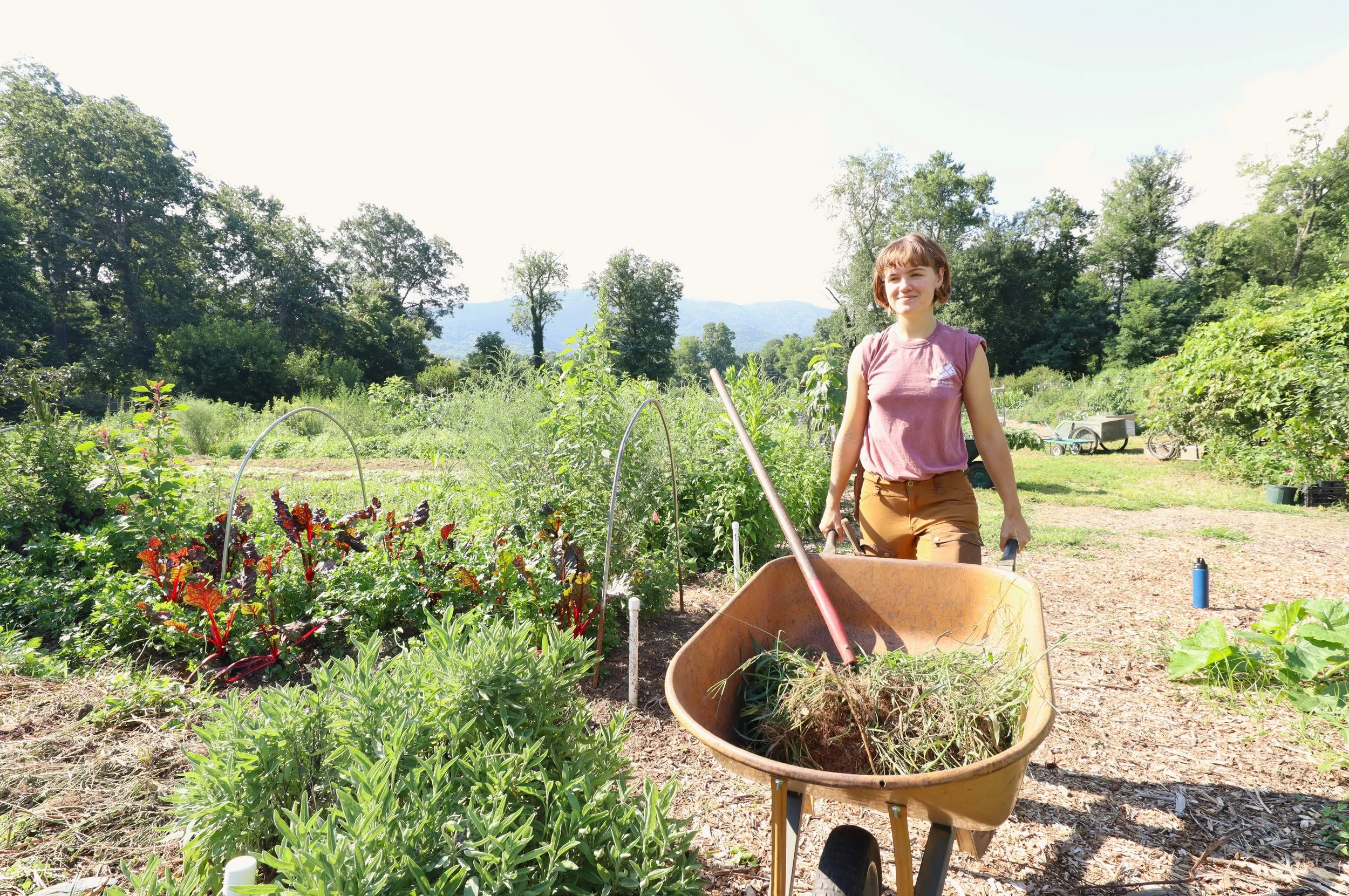 Tour offers scenic stroll through 20 years of the Dr. John Wilson Community Garden