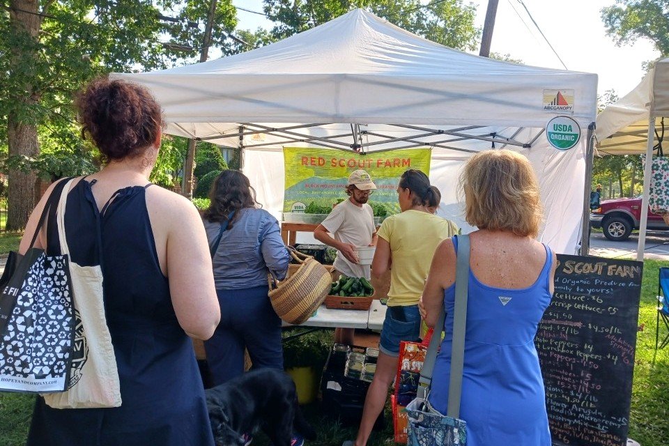 Black Mountain Tailgate Market celebrates National Farmers Market Week