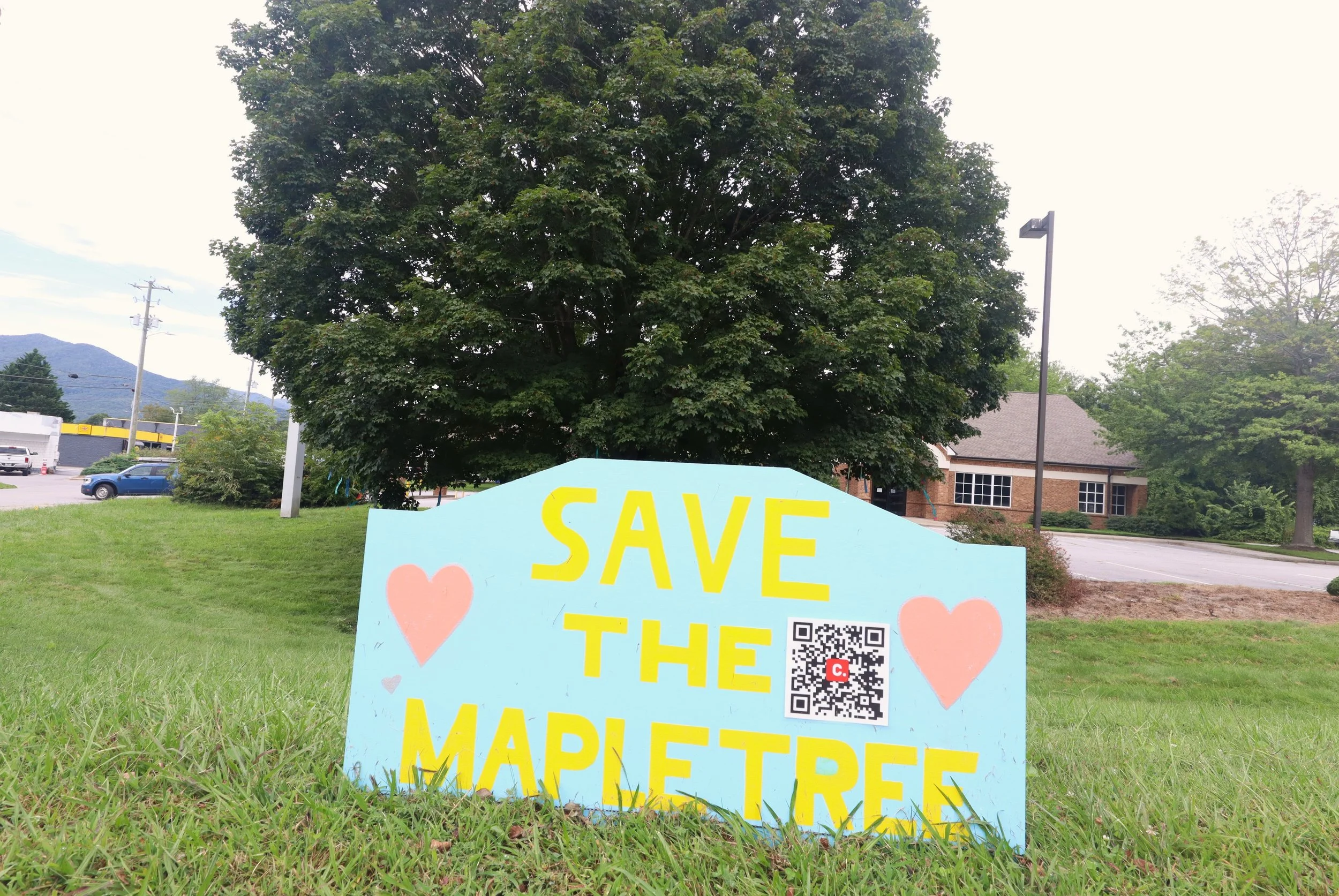 Gas station developers to remove prominent Black Mountain maple tree
