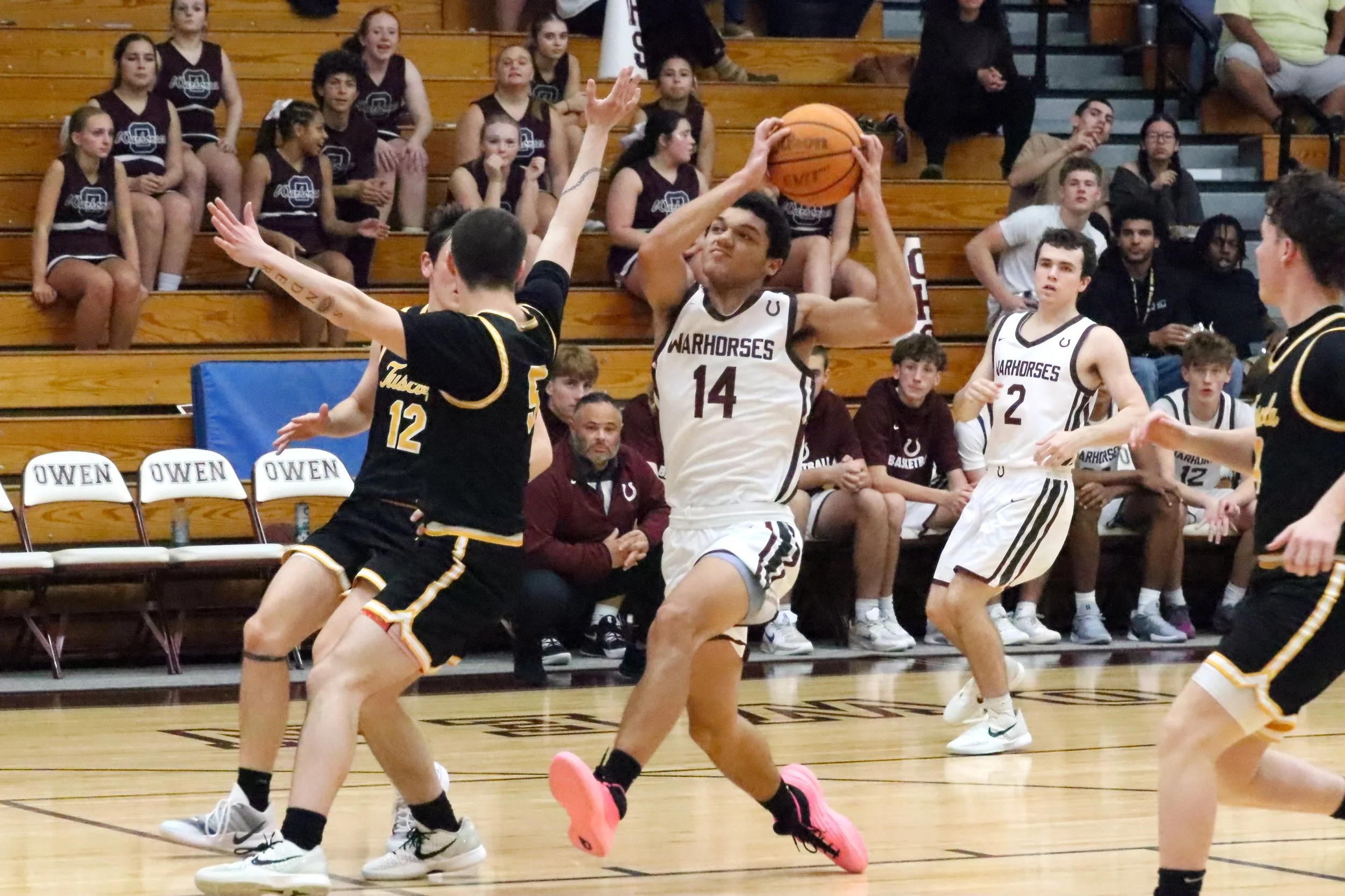 Young Warhorses continue strong start with victory in home opener