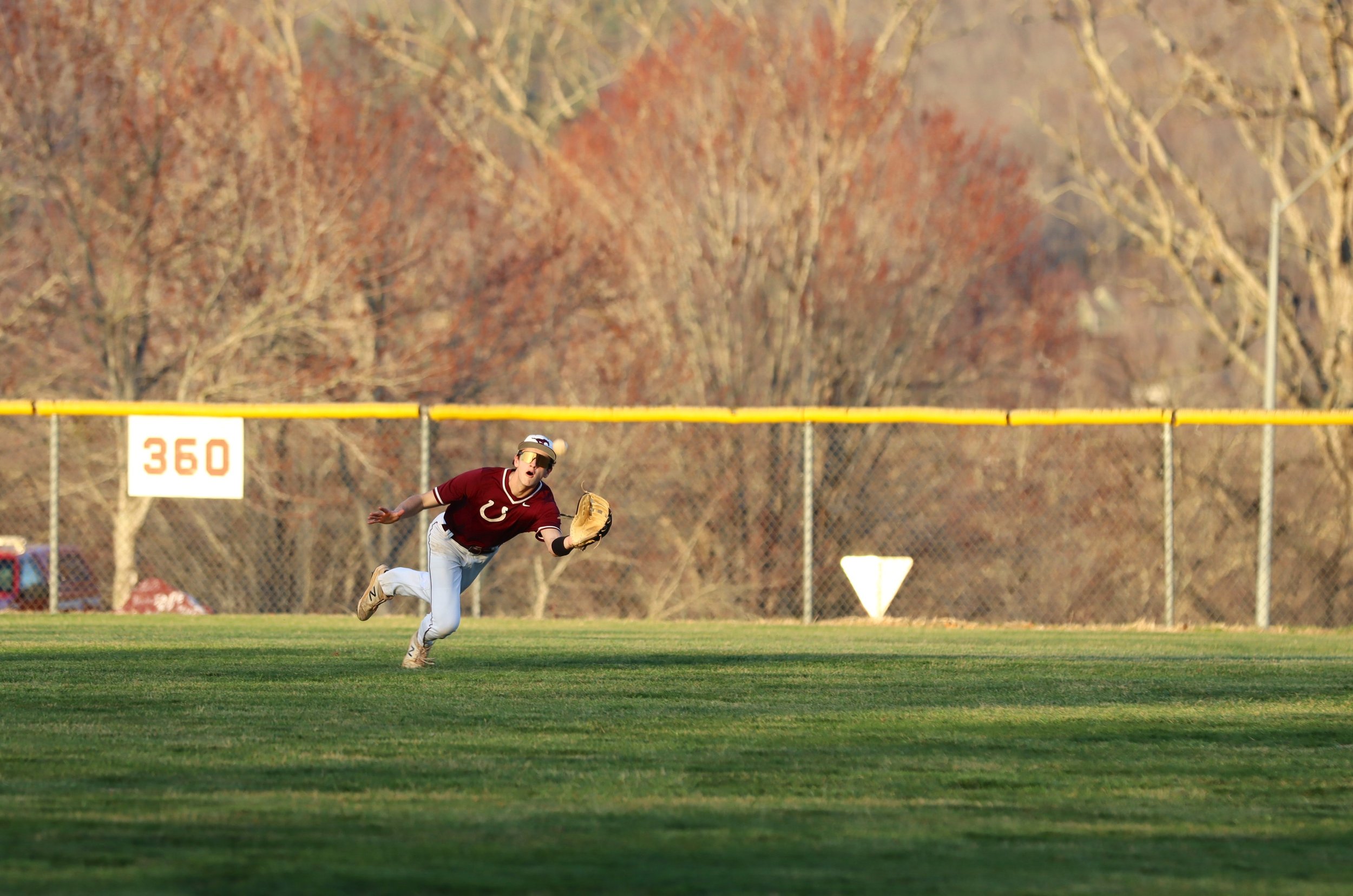Warhorses work to set the standard on the diamond