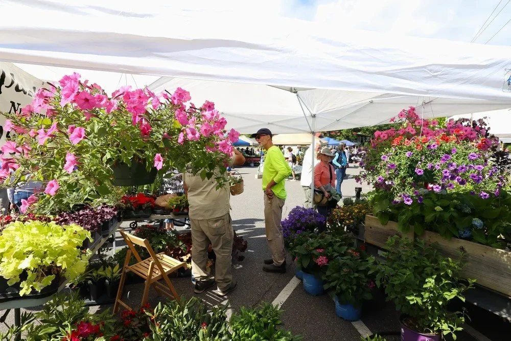 Black Mountain Beautification Committee Garden Sale springs anew