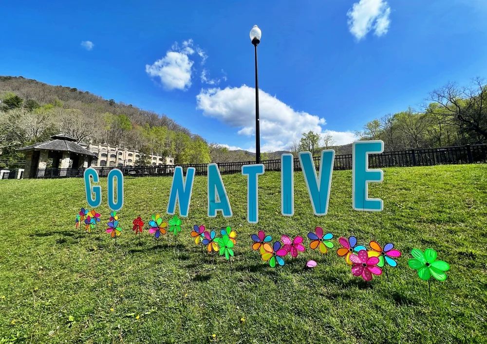 Montreat Native Plant Sale returns from twoyear hiatus — The Valley Echo