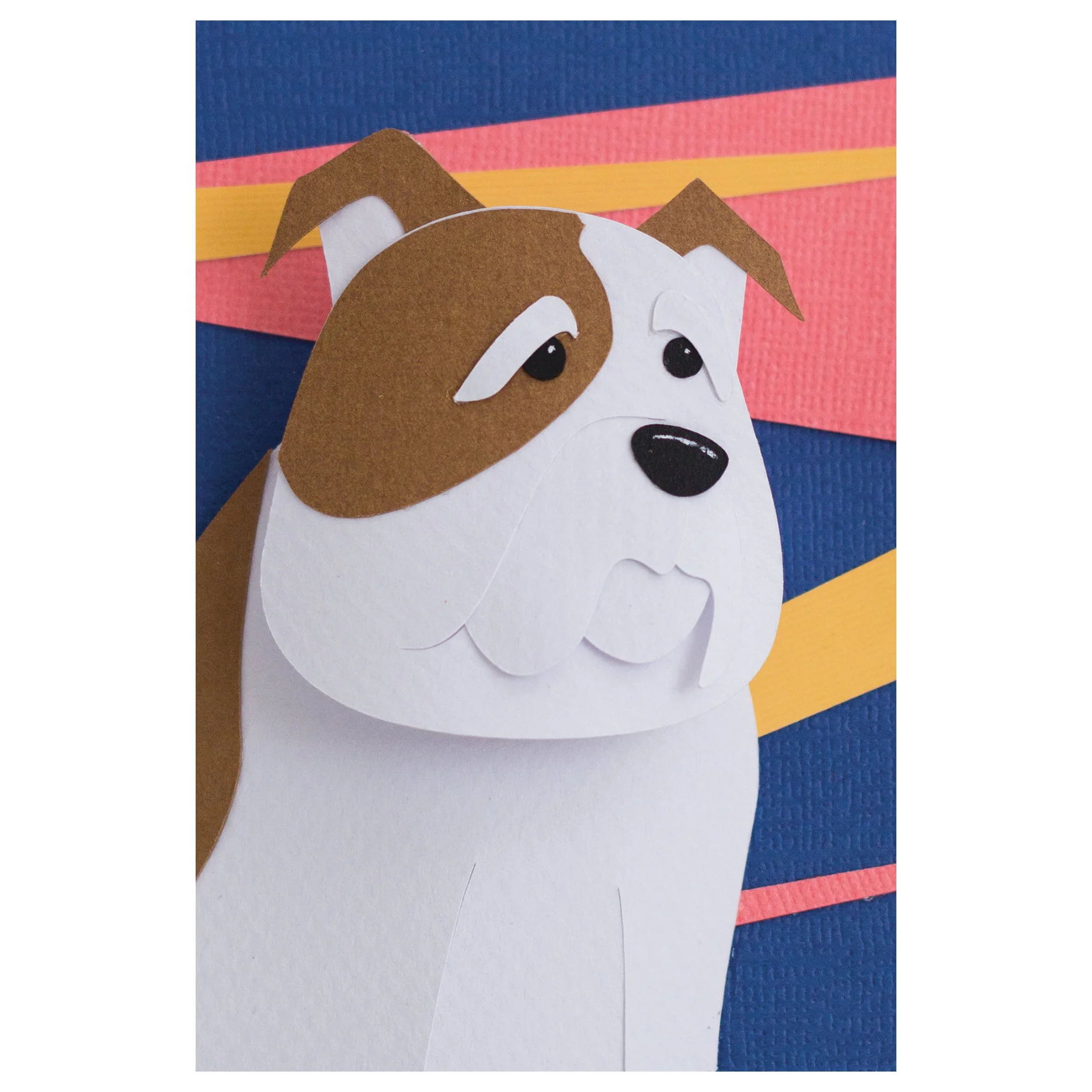EnglishDog.jpeg