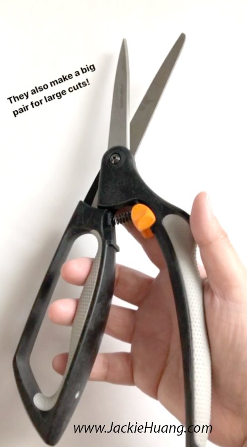 BigScissors.jpg