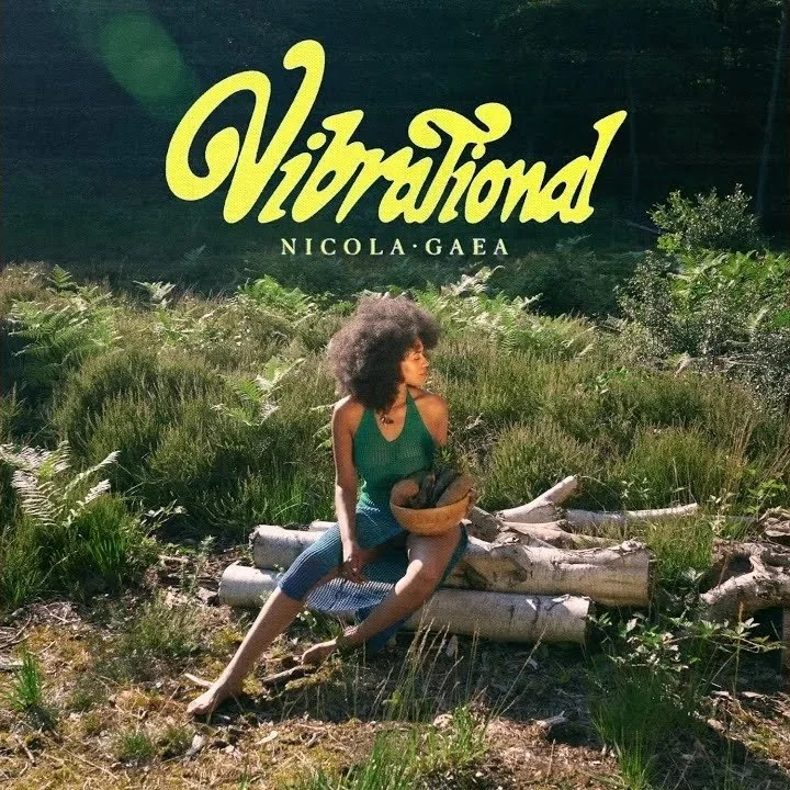 Nicola Gaea - Vibrational  
Single, 2024  
 Mix   
 
