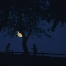 RUTA - Sun on a snowy morning   
Ep, 2025  
 Record / Mix 