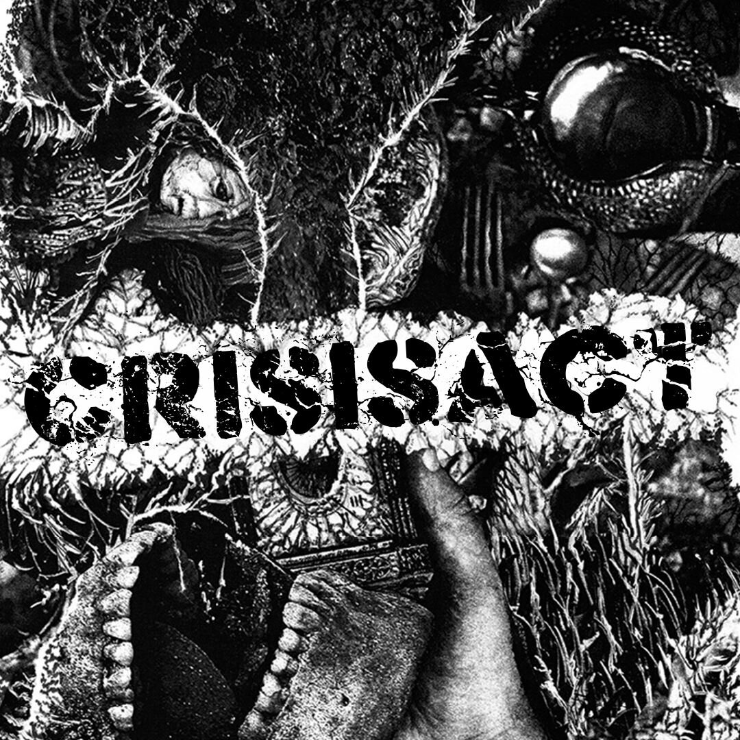 Crises Act cover.jpg