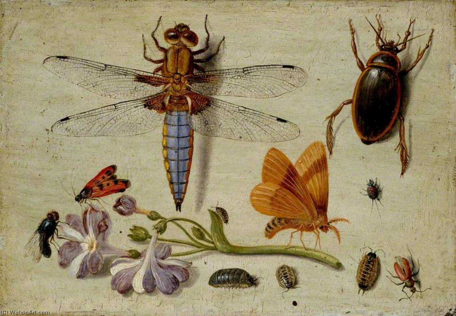 origins-and-nature-of-cognition.jpg