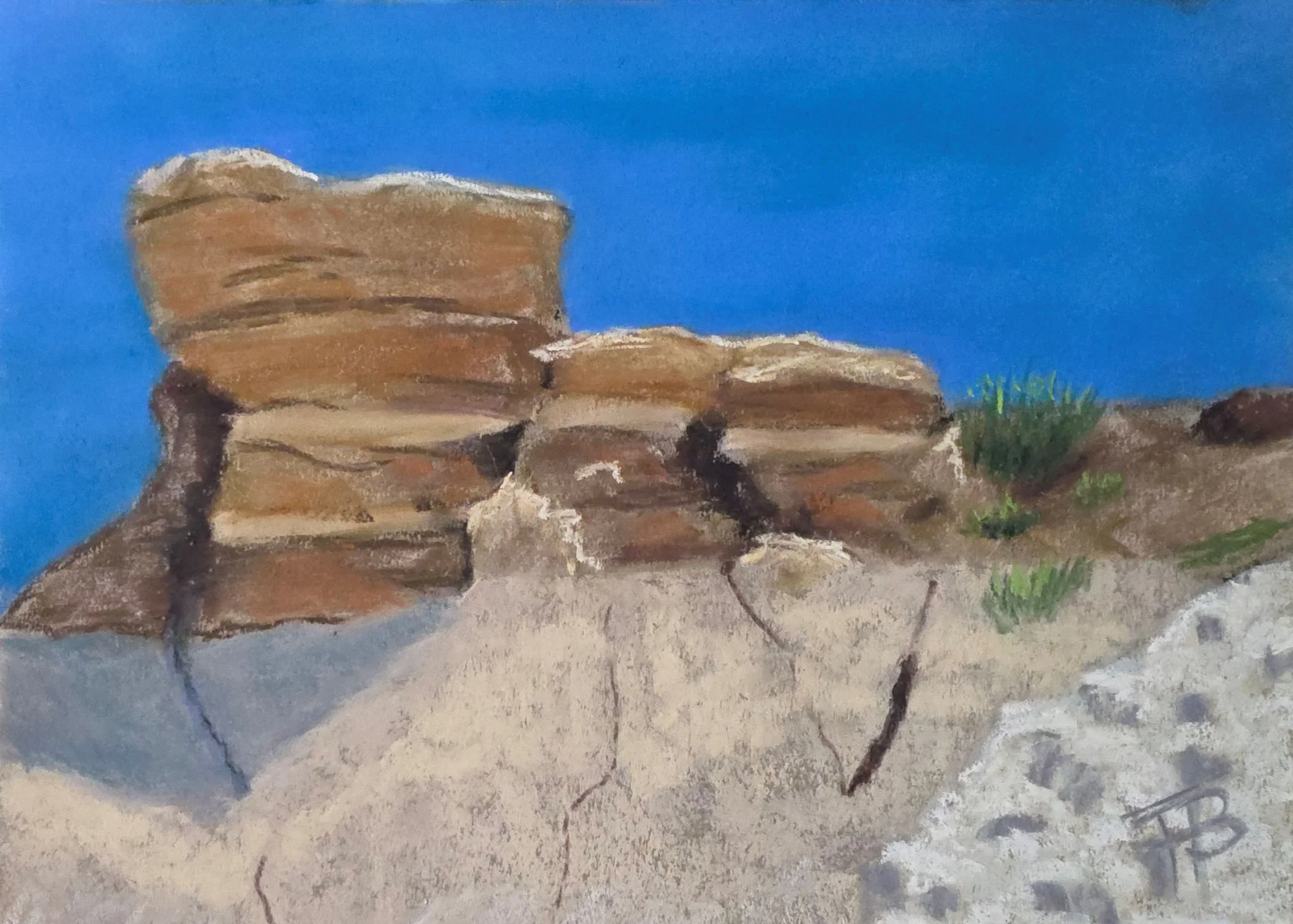 Petrified Forest Stone 12 x 16