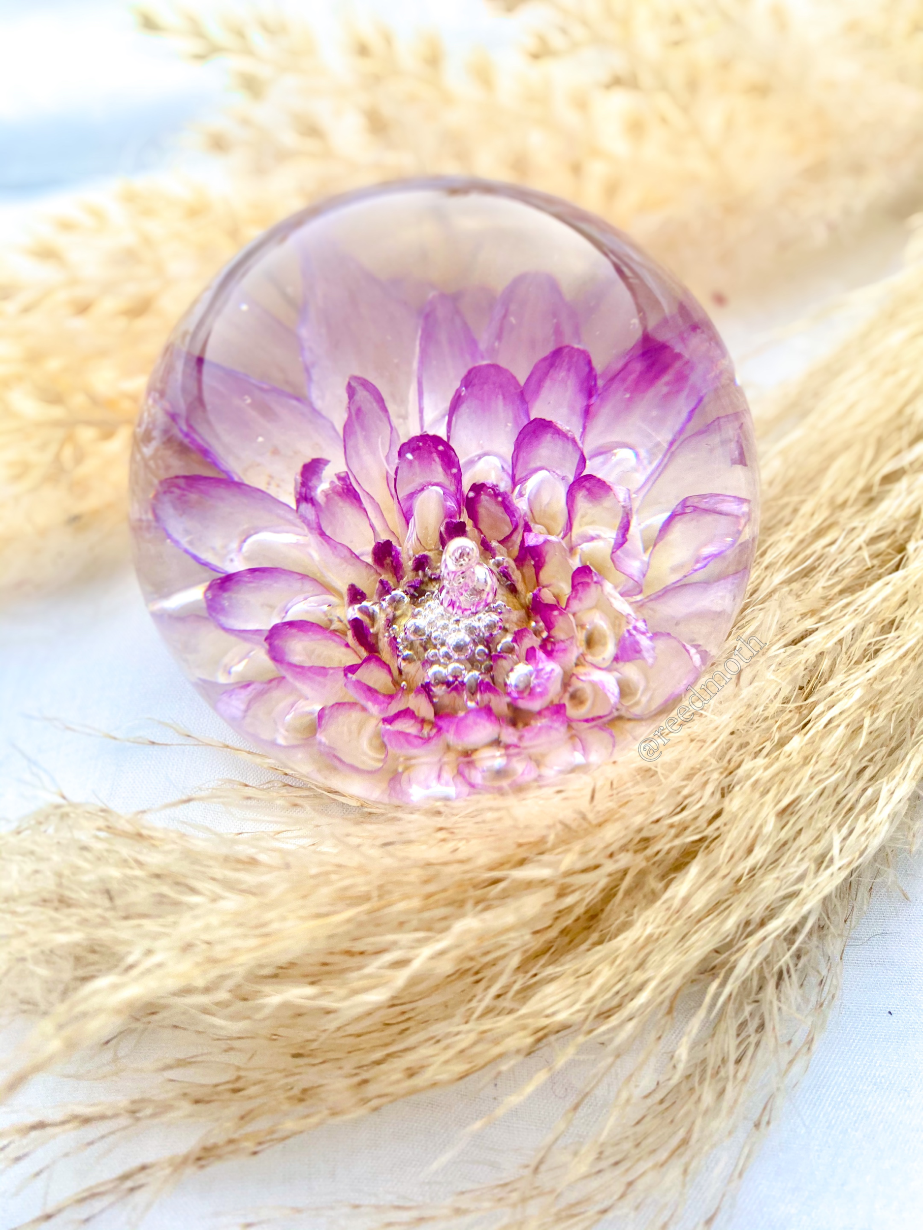 215B87E1-370F-4E1D-9EB5-CC0473C26C98