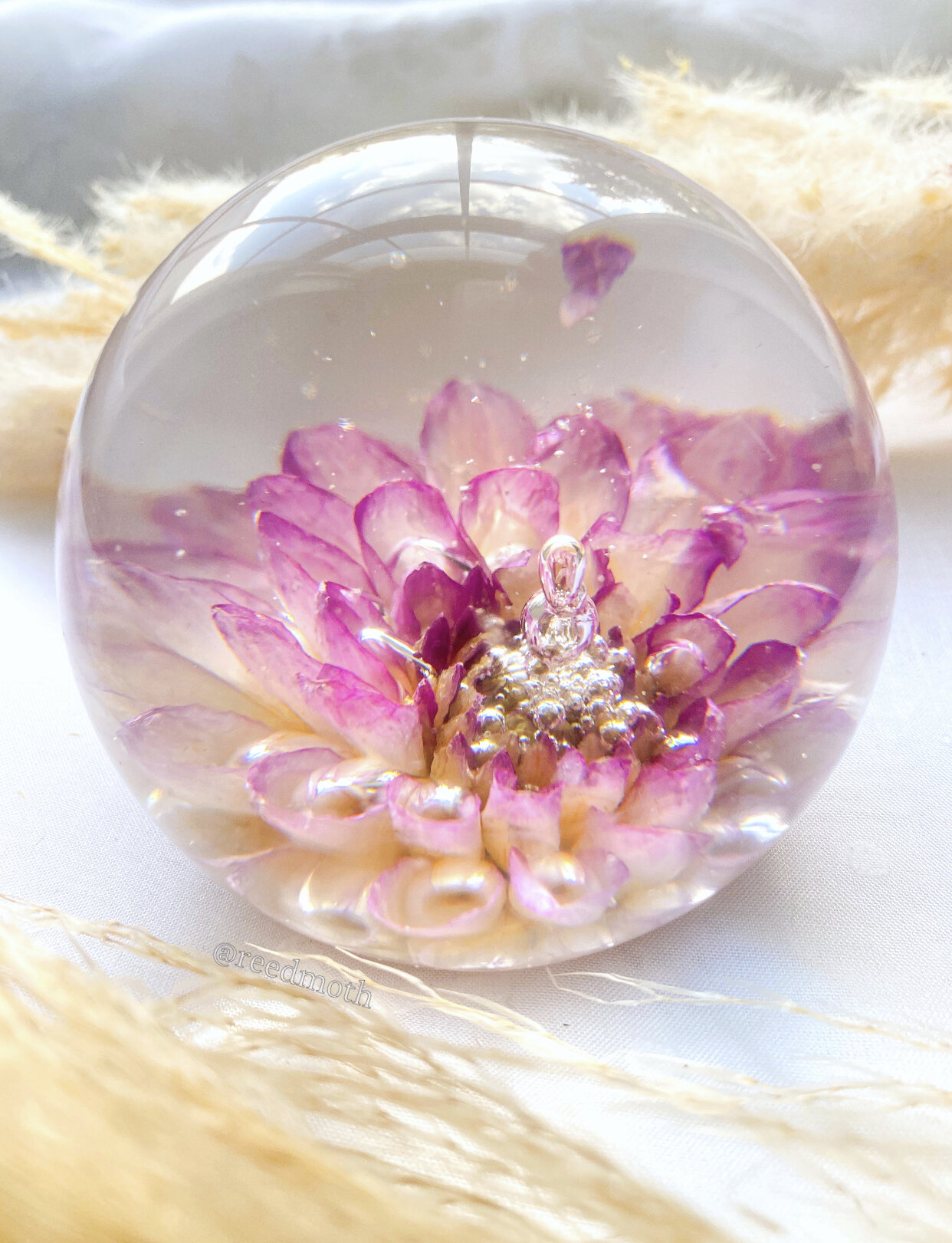 6237655E-2589-4DFB-B020-12C0FF2DAF27