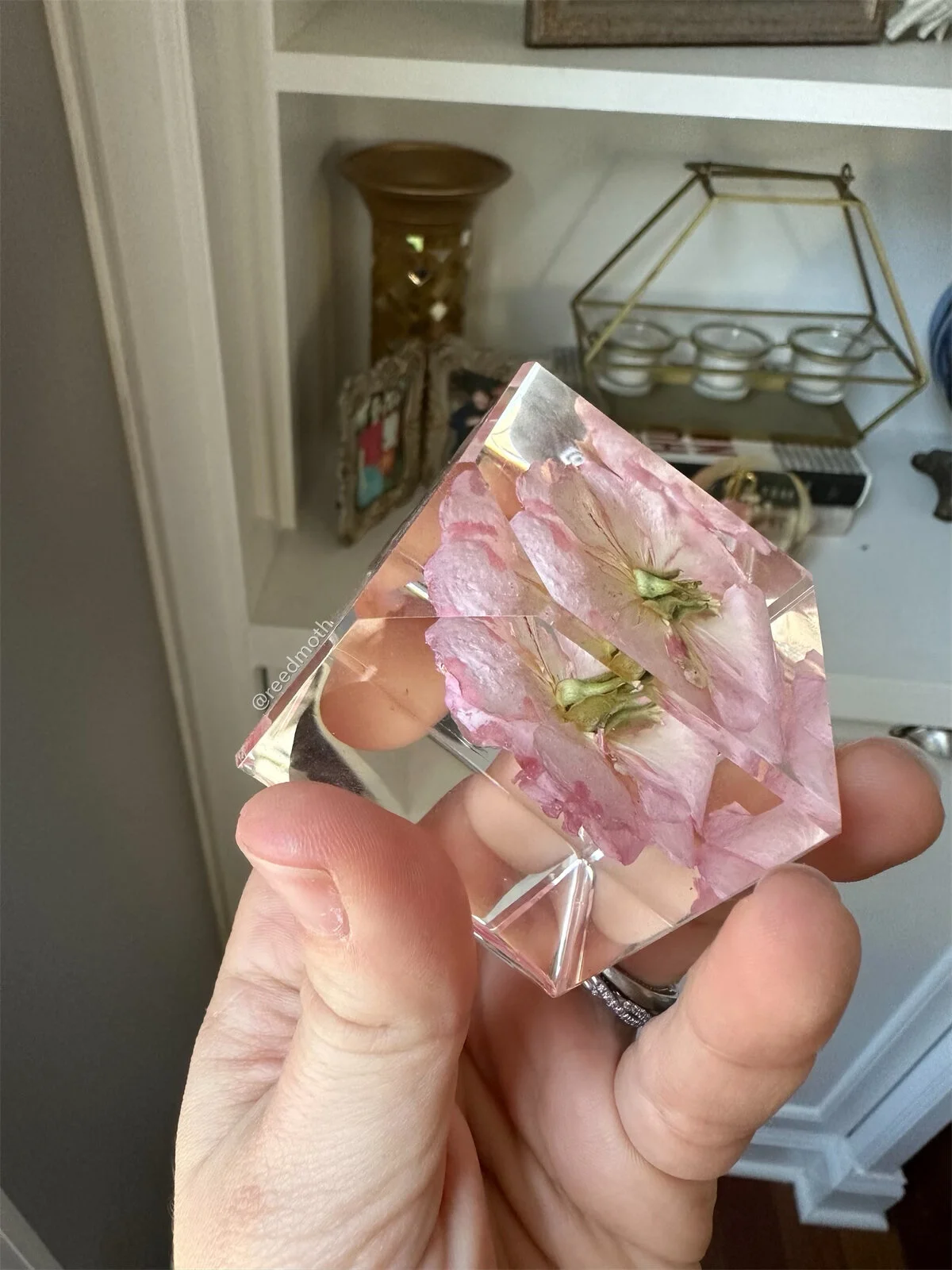 22074E2F-BDD0-4954-9773-5C4C183F0E3E