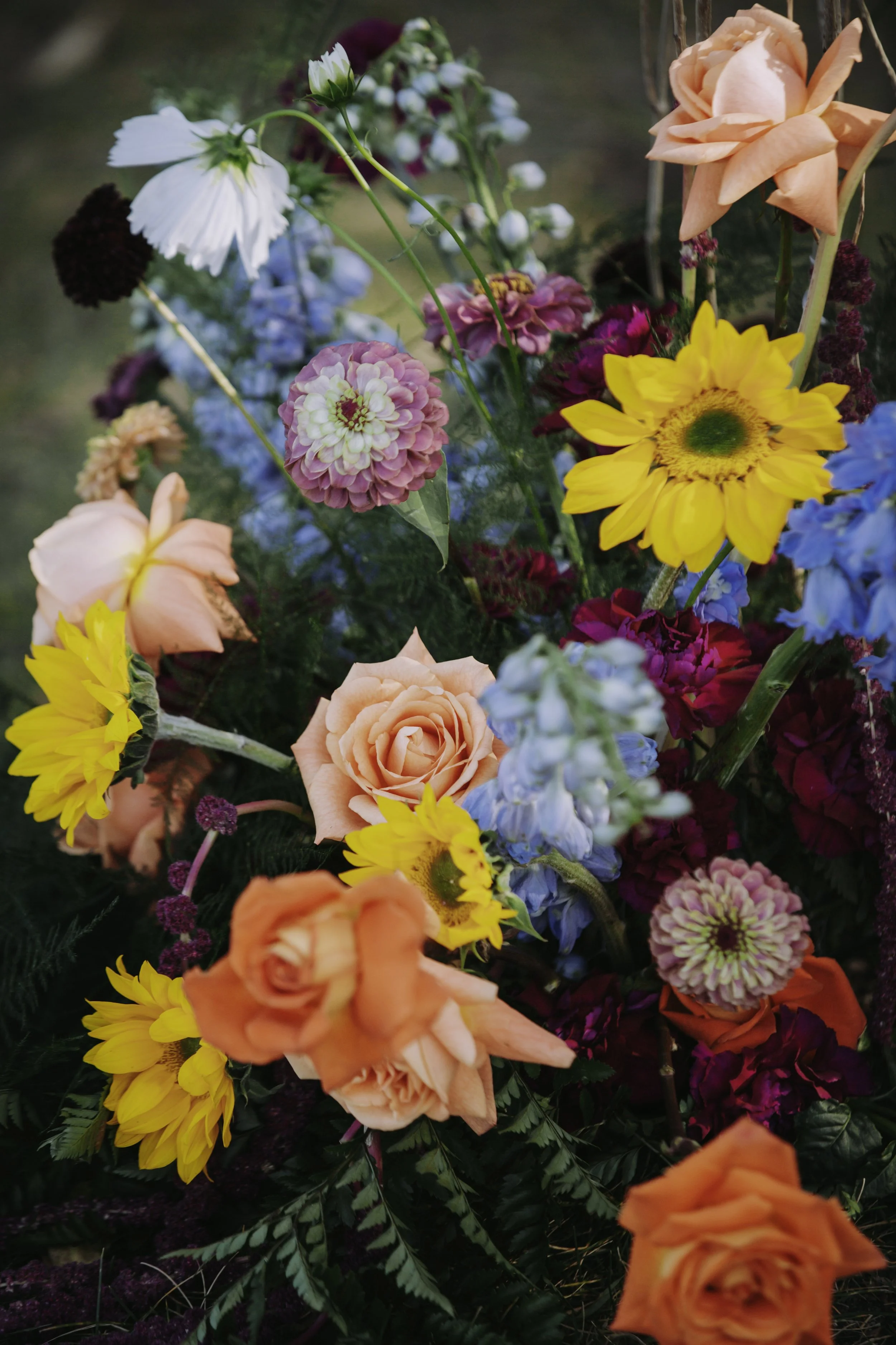 katdaminphotography-9052.jpg