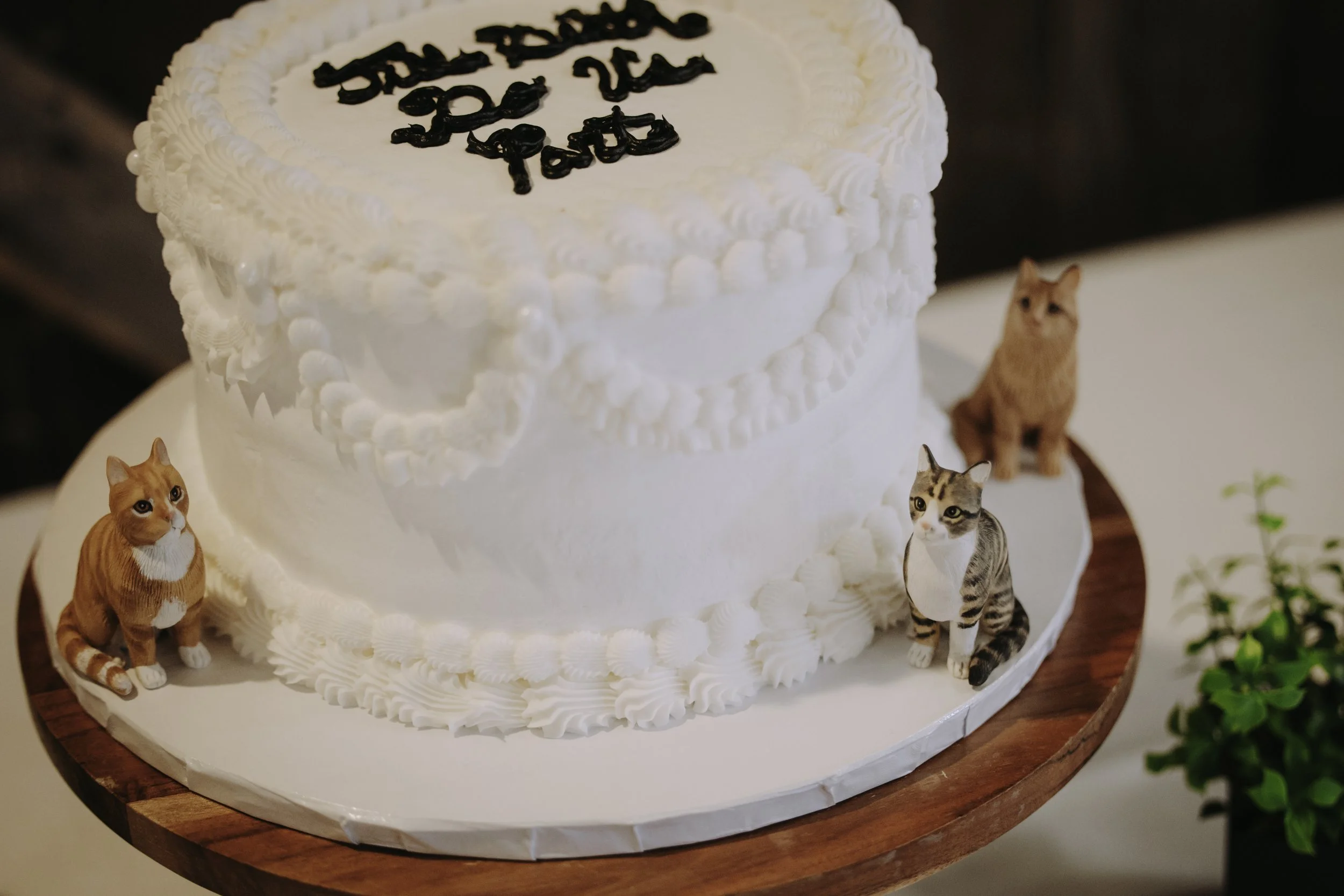 katdaminphotography-7812.jpg