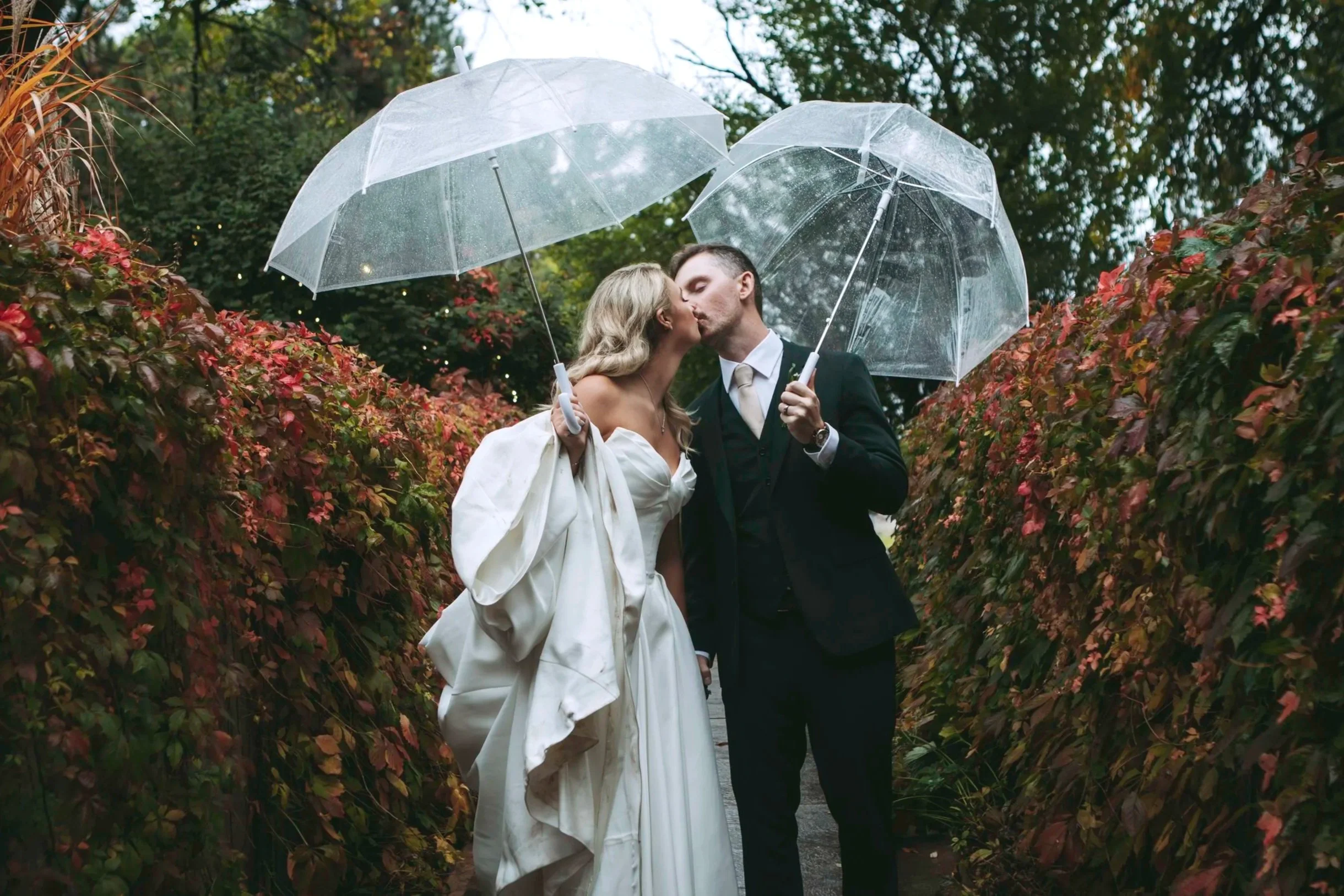 A bride and groom share a kiss under clear umbrellas surrounded my fall foliage on their wedding day at Tapestry House, in Laporte, CO.