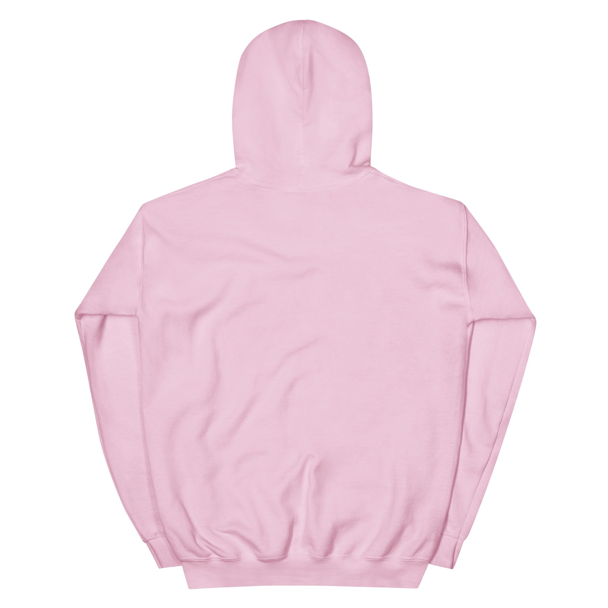 unisex-heavy-blend-hoodie-light-pink-back-68792687bee01.jpg