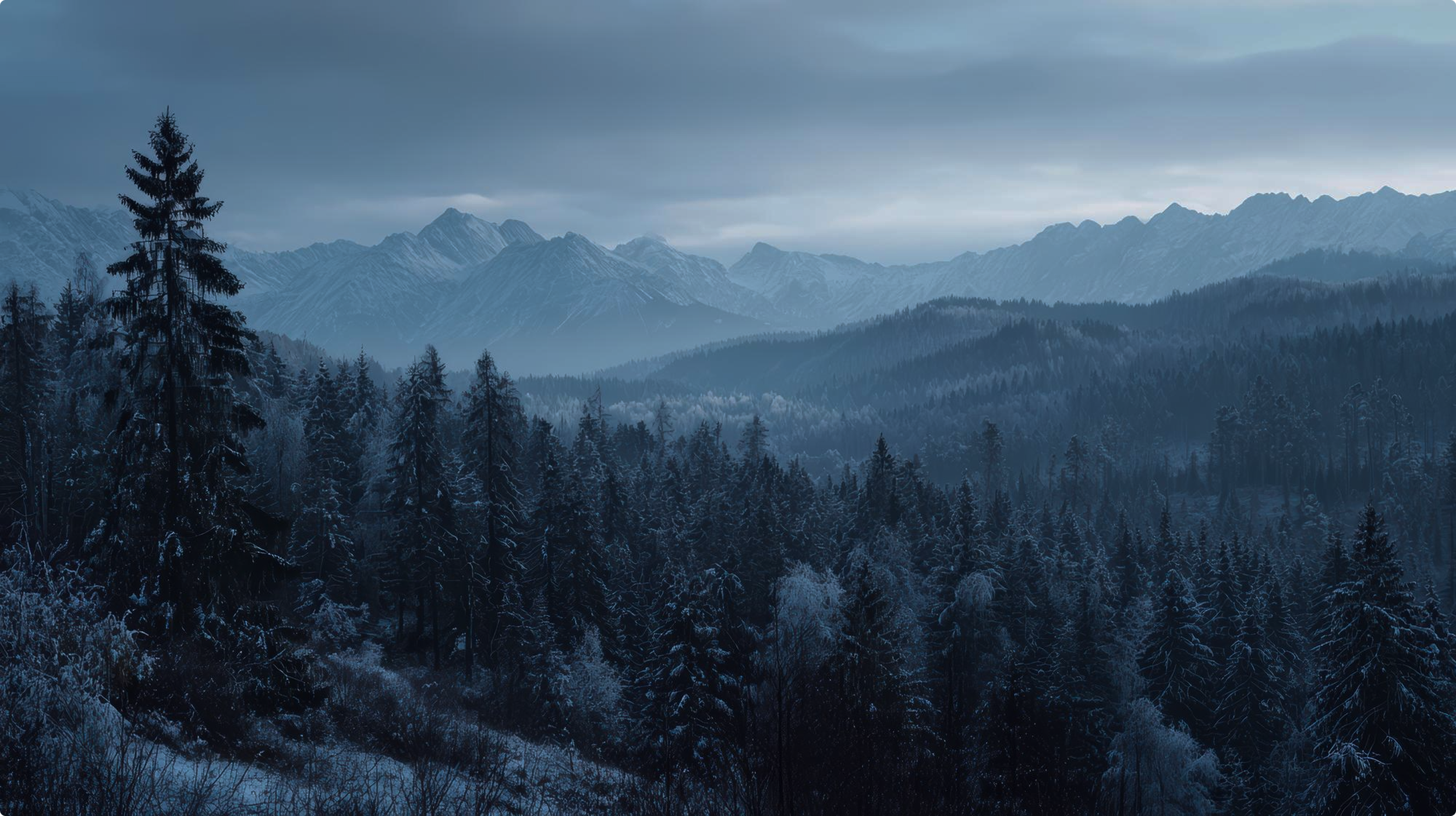 Snow-covered trees in a forest with mountain range and cloudy sky in the background.