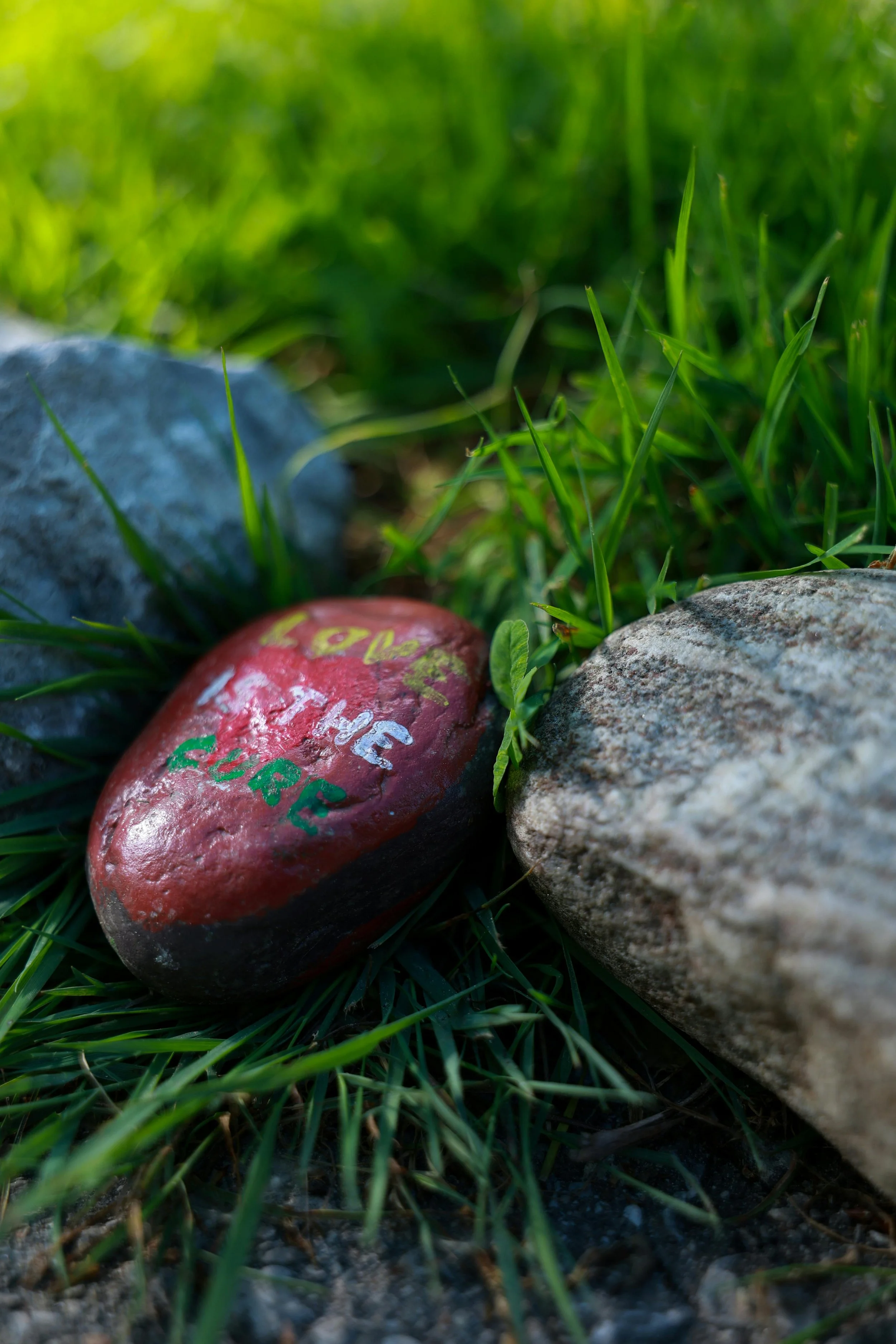 Red painted rock with the words "Love in the Pack" lying in grass between two larger stones.