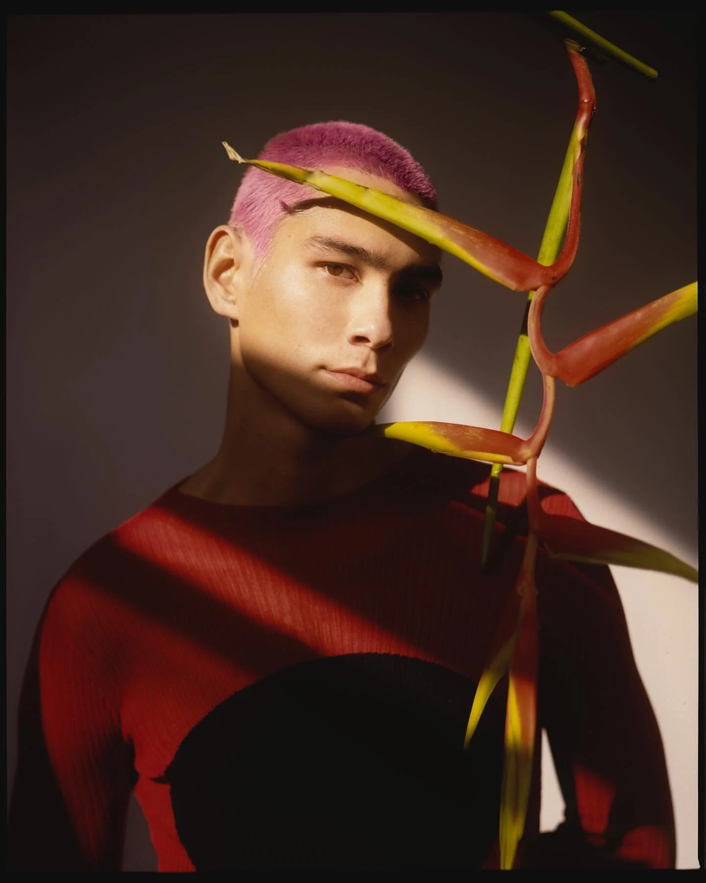 Evan Mock (@evanmock) stepping into his light by @dennistejero styled by @badnewsbritt in Volume 2, which you&rsquo;d be foolish not to cop. #GossipGirl premieres today. Are you excited? @gossipgirl #evanmock 
🌱by @tfer21
💈@jezzhill