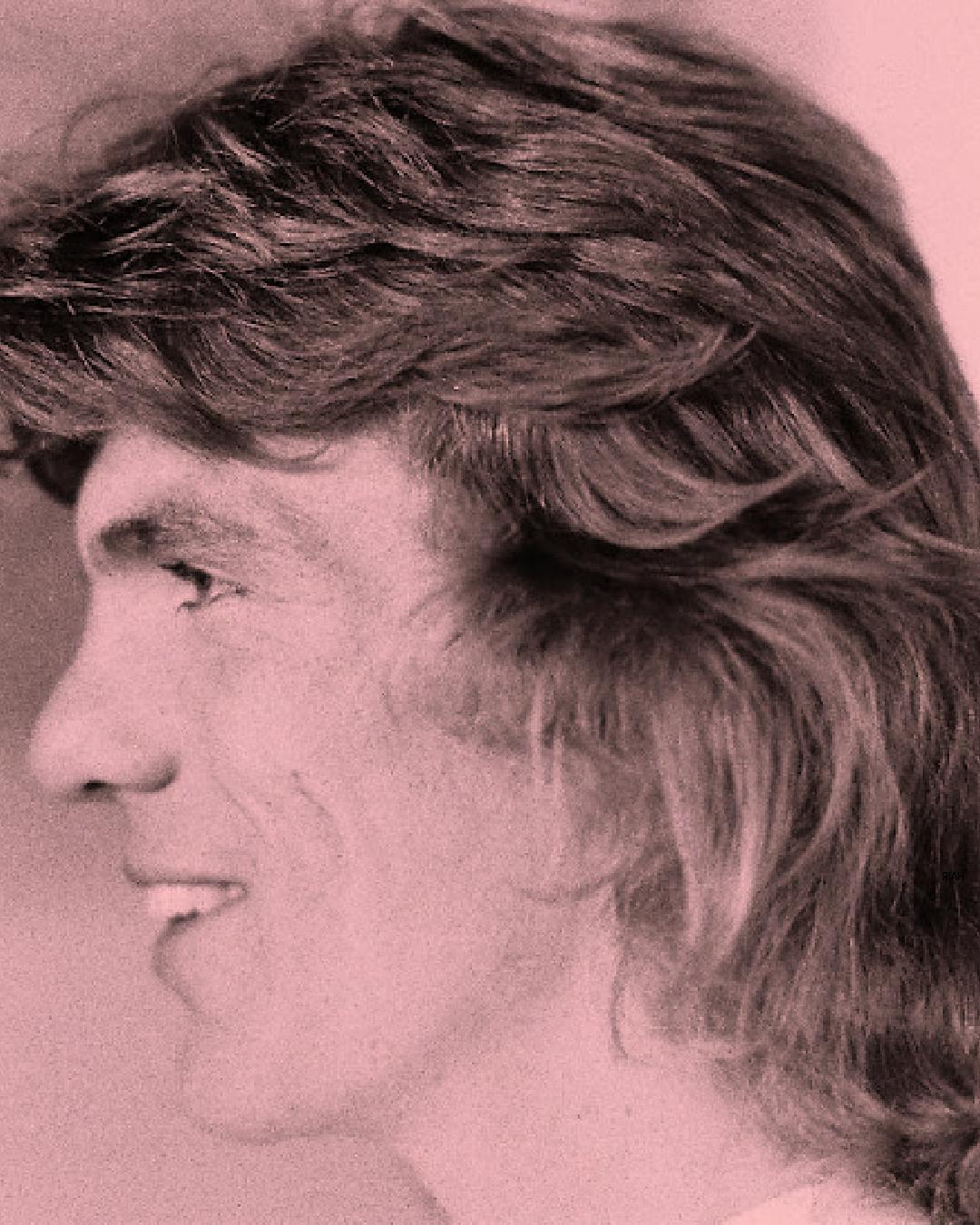 The Hair Of The 70s Men American Studies
