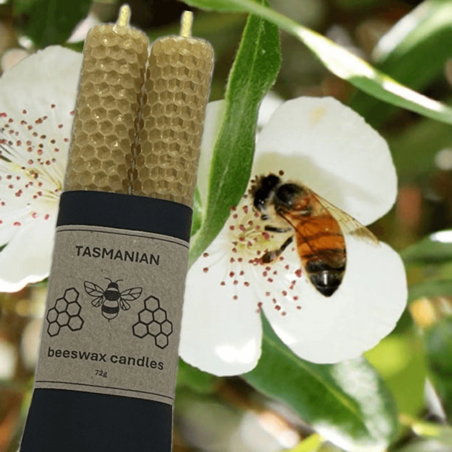 Tasmanian Soap Farm beeswax candles