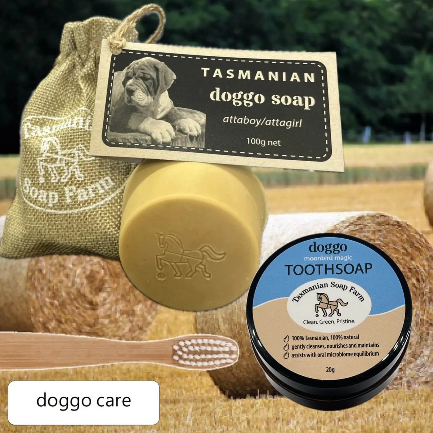 Tasmanian Soap Farm-doggo care-coat care soap-toothsoap-website gallery