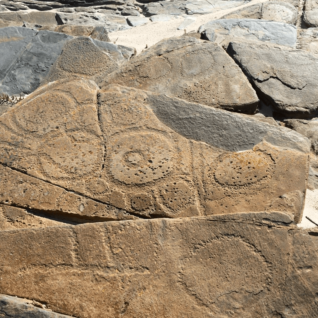 laraturunawn (Sundown Point) petroglyphs, takayna/ The Tarkine (Photograph: Michelle Bennett)