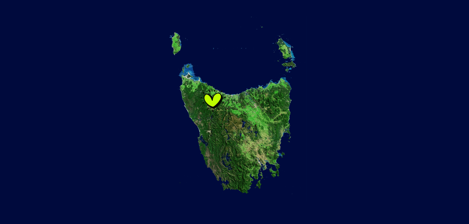 Satellite map showing the shape of Tasmania with green terrain and surrounding ocean