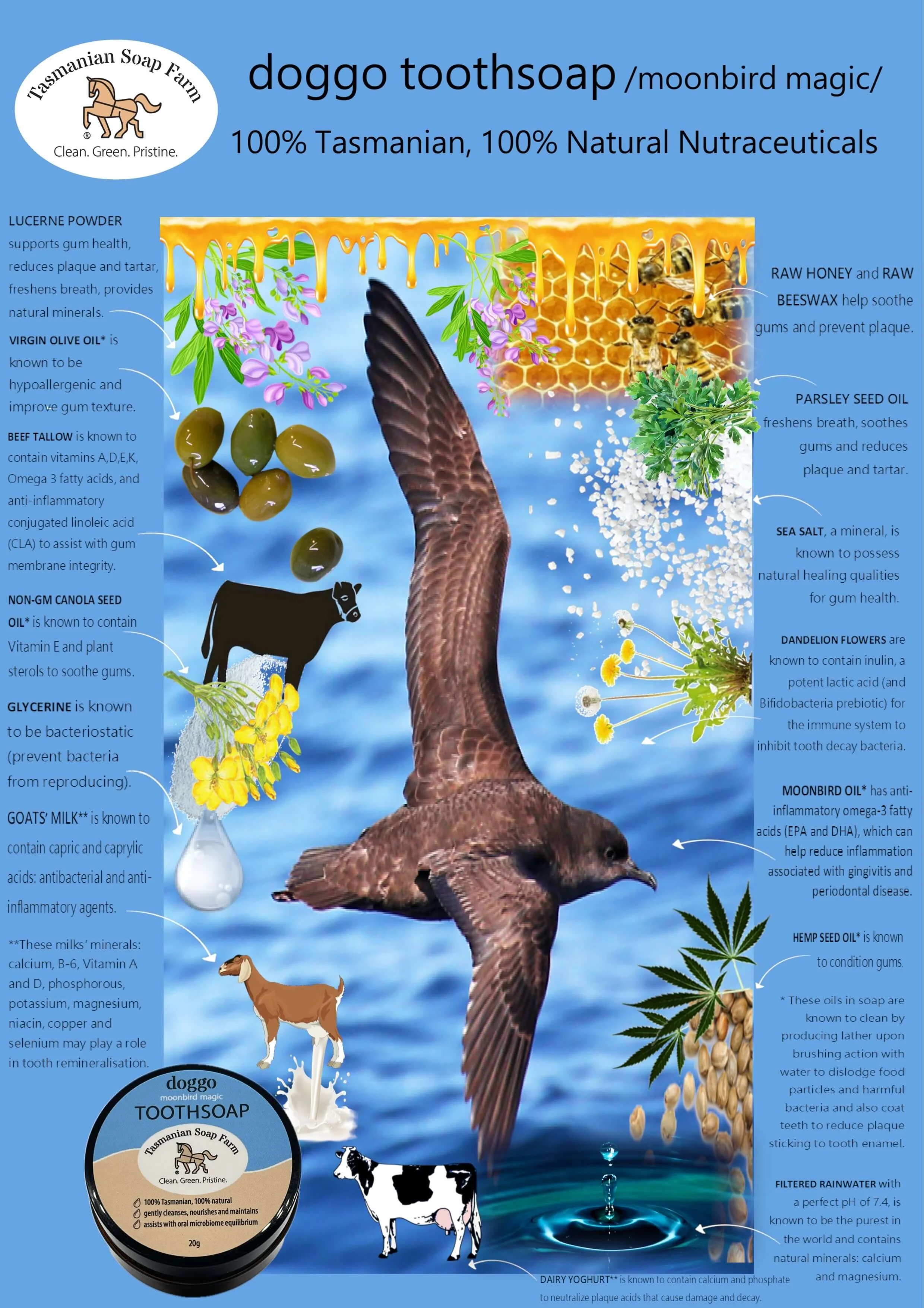 Infographic about using natural ingredients for dental health, featuring bees, honey, herbs, seeds, and a bird, with text describing the benefits of ingredients like lucerne powder, virgin olive oil, beef tallow, goat's milk, sea salt, dandelion flowers, hemp seed oil, and others for gum health and oral microbiome.