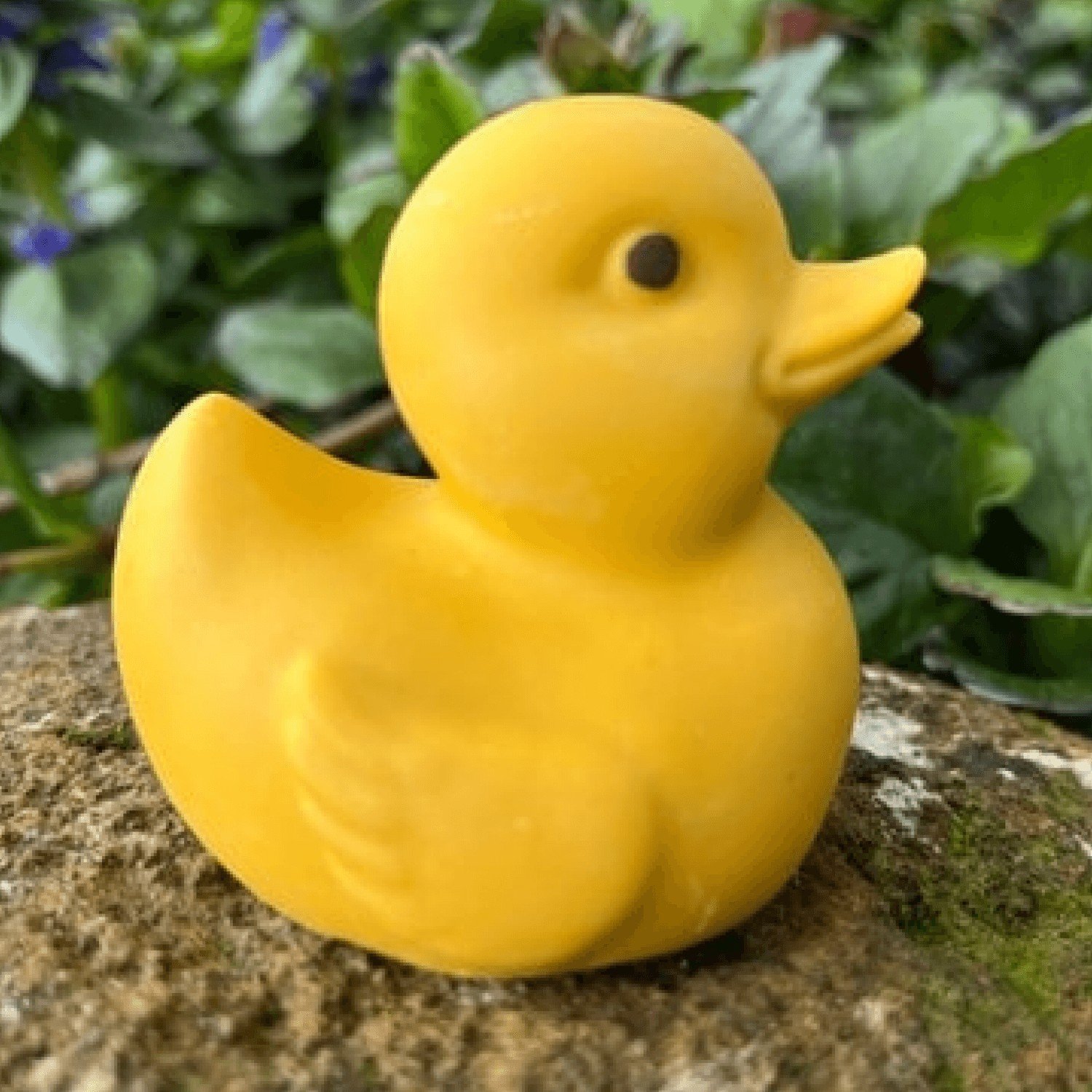 Tasmanian Soap Farm's Tassie Ducky