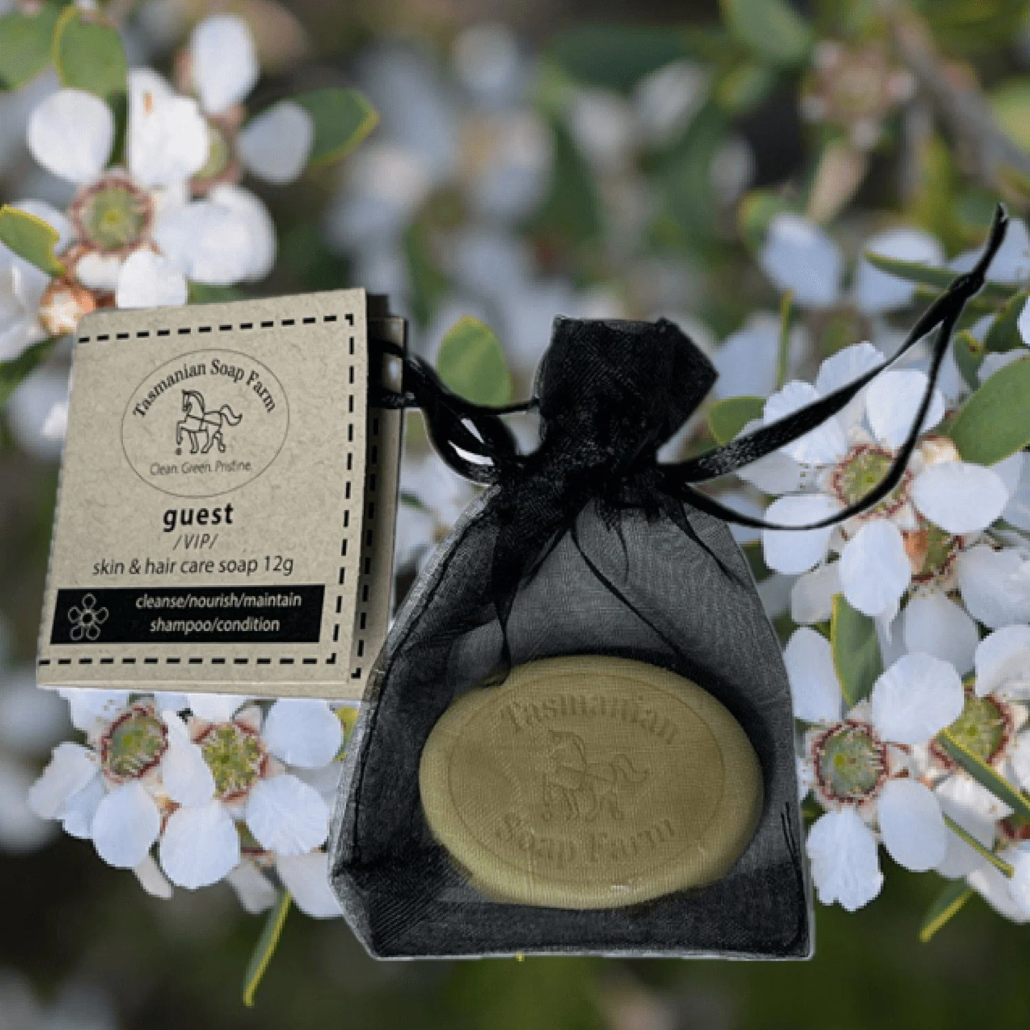 Tasmanian Soap Farm guest soap
