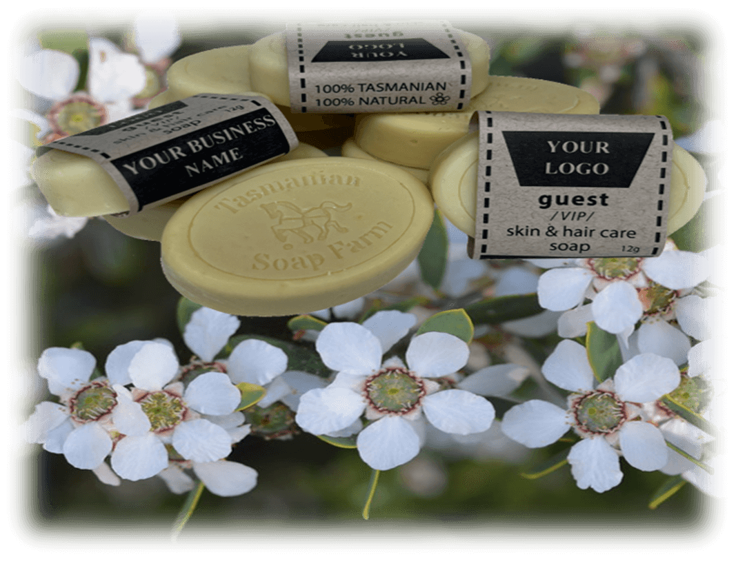 tasmanian-soap-farm-guest-soap