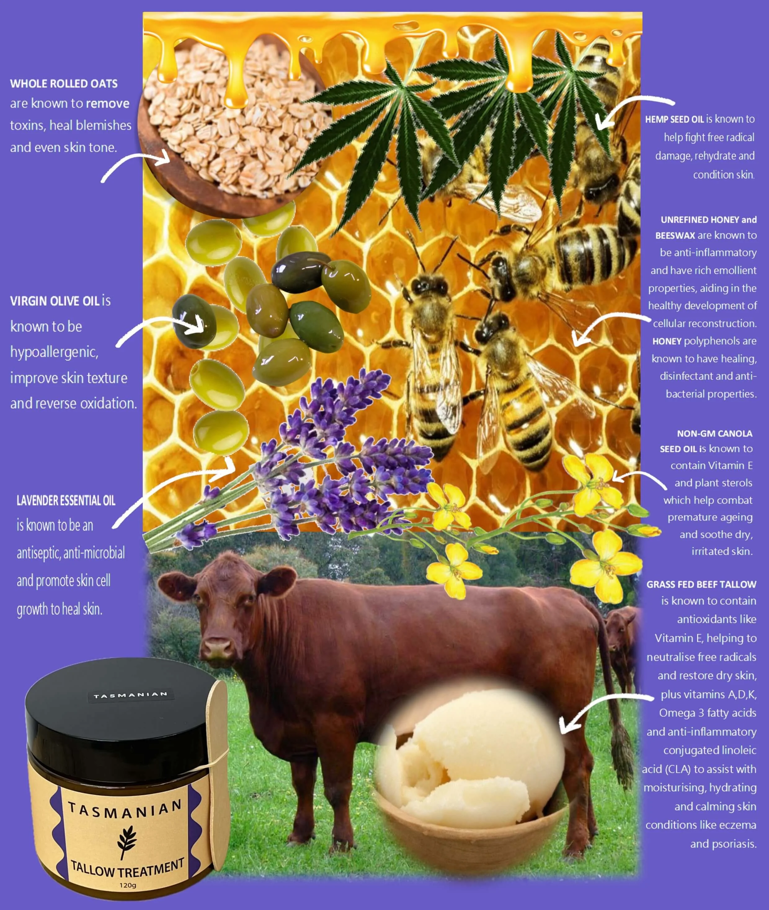 A poster advocating for natural skin care products, featuring images of a cow, honey, lavender, olive oil, and a jar of Tallow Treatment cream. The poster highlights ingredients like oats, hemp seed oil, unrefined honey, beeswax, lavender essential oil, non-GMO canola seed oil, and grass-fed beef tallow, emphasizing their benefits for skin health, anti-inflammatory properties, and hydration.