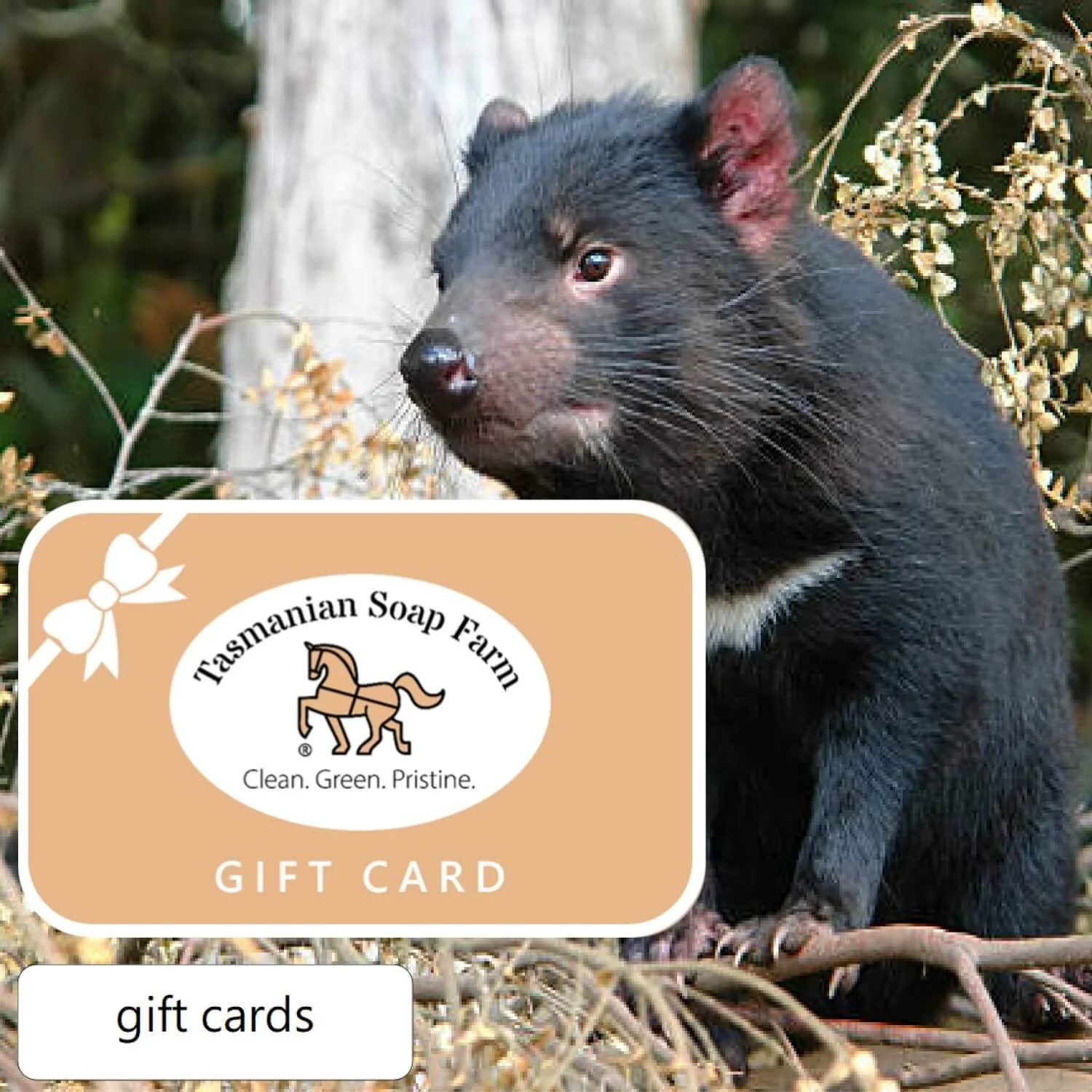 Tasmanian Soap Farm-gift cards