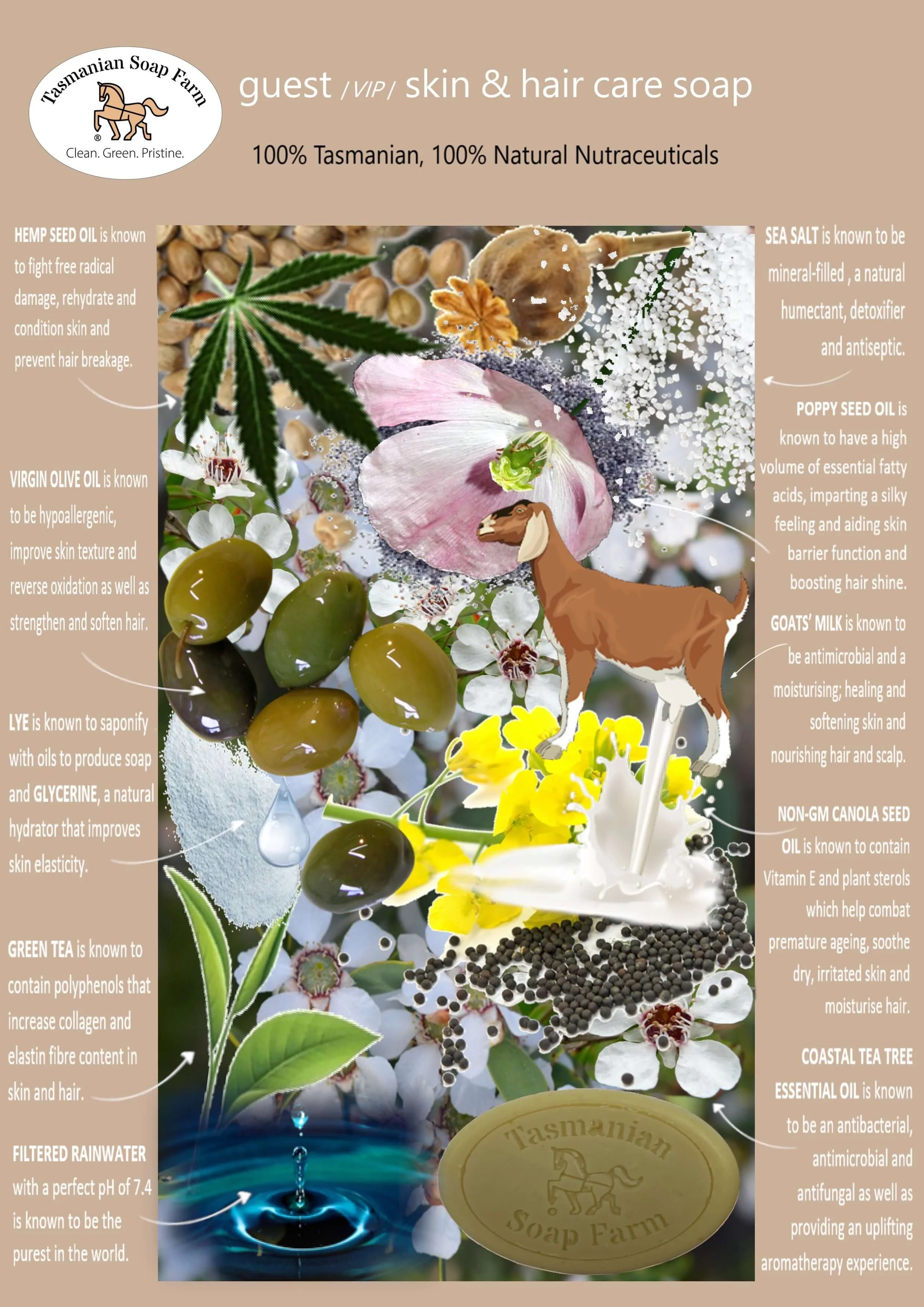 An informational graphic about the ingredients and benefits of skin and hair care soap from Tasmanian Soap Farm. It features images of hemp seed oil, sea salt, virgin olive oil, poppy seed oil, green tea, filtered rainwater, and a soap bar branded 'Tasmanian Soap Farm.' The graphic also includes various botanical and natural elements.