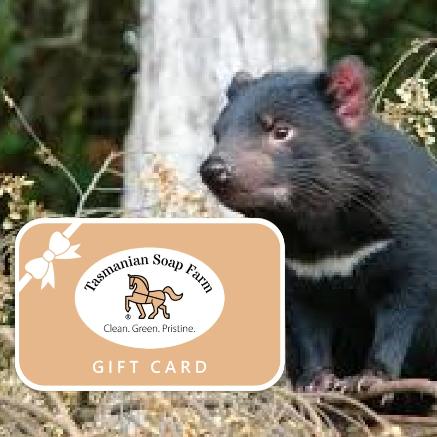 Tasmanian Soap Farm gift cards