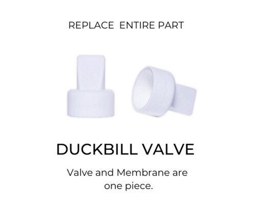 Common Breastpump Valves (3).png