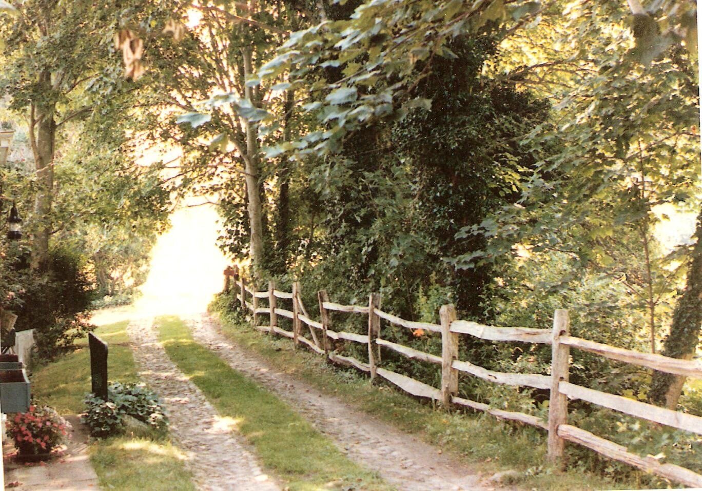 Lane from the 70's.jpg