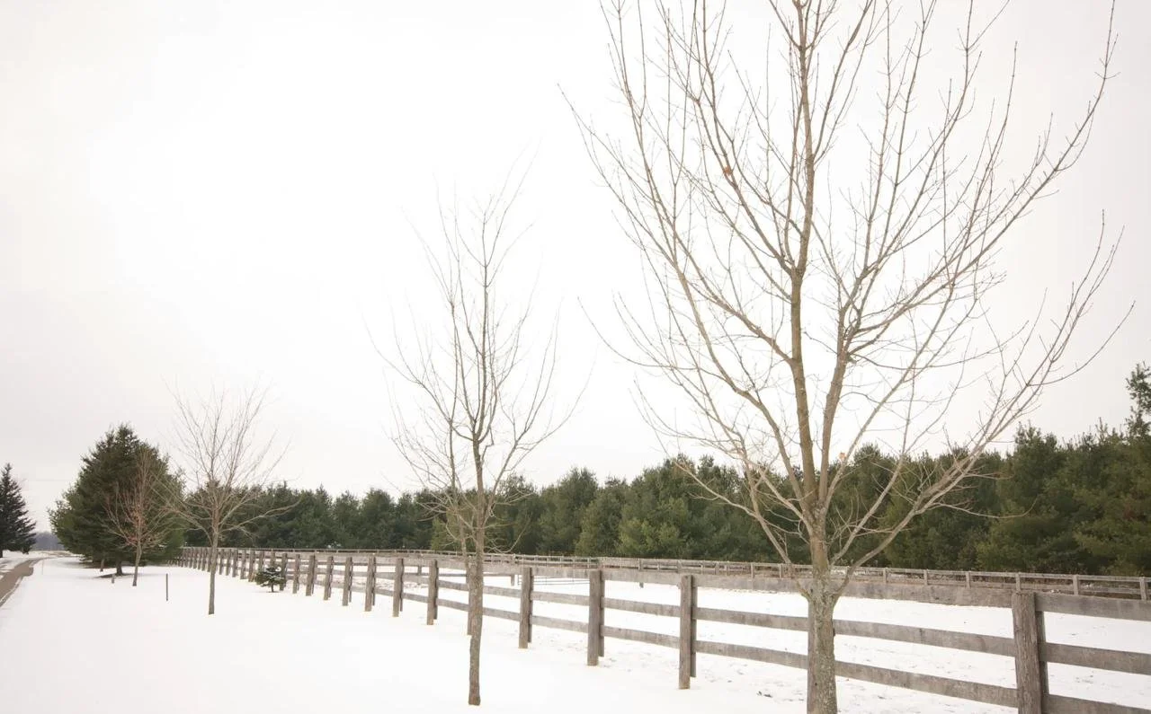 WhatsApp Image 2026-01-16 at 5.40.06 PM (2).jpeg