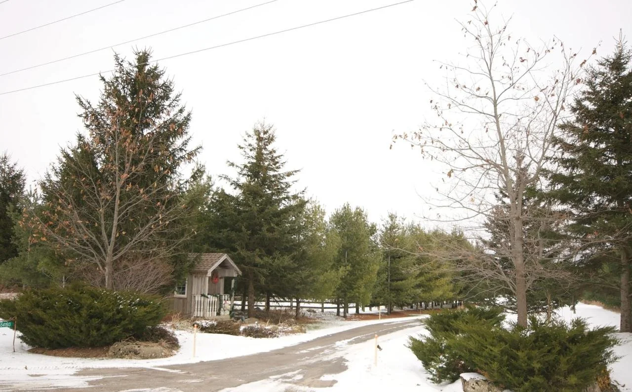 WhatsApp Image 2026-01-16 at 5.40.06 PM (1).jpeg