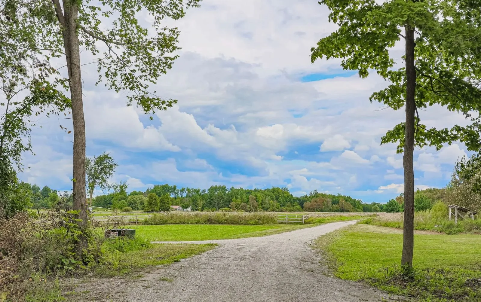 WhatsApp Image 2026-01-16 at 6.27.14 PM.jpeg