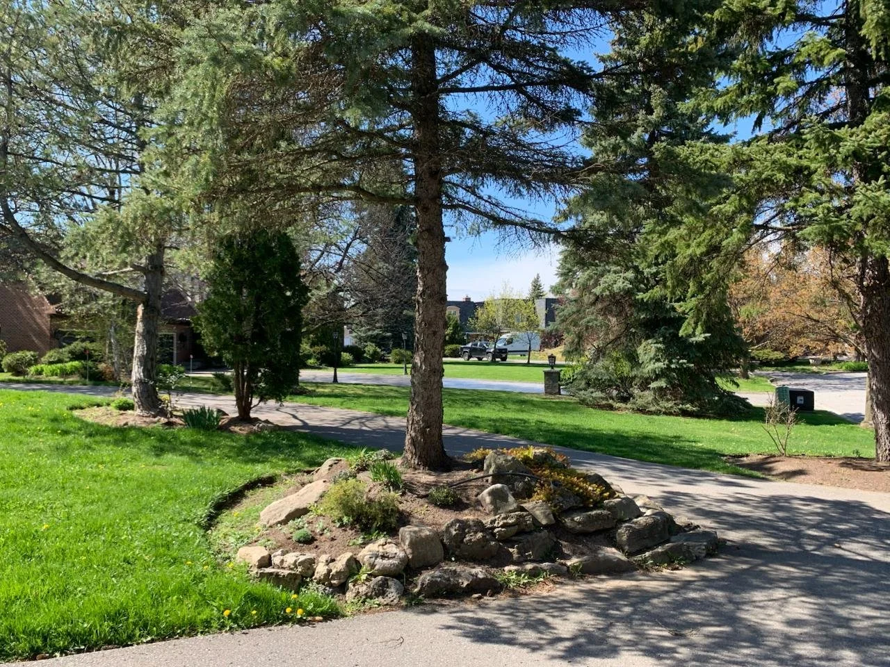 WhatsApp Image 2026-02-06 at 6.22.49 PM.jpeg